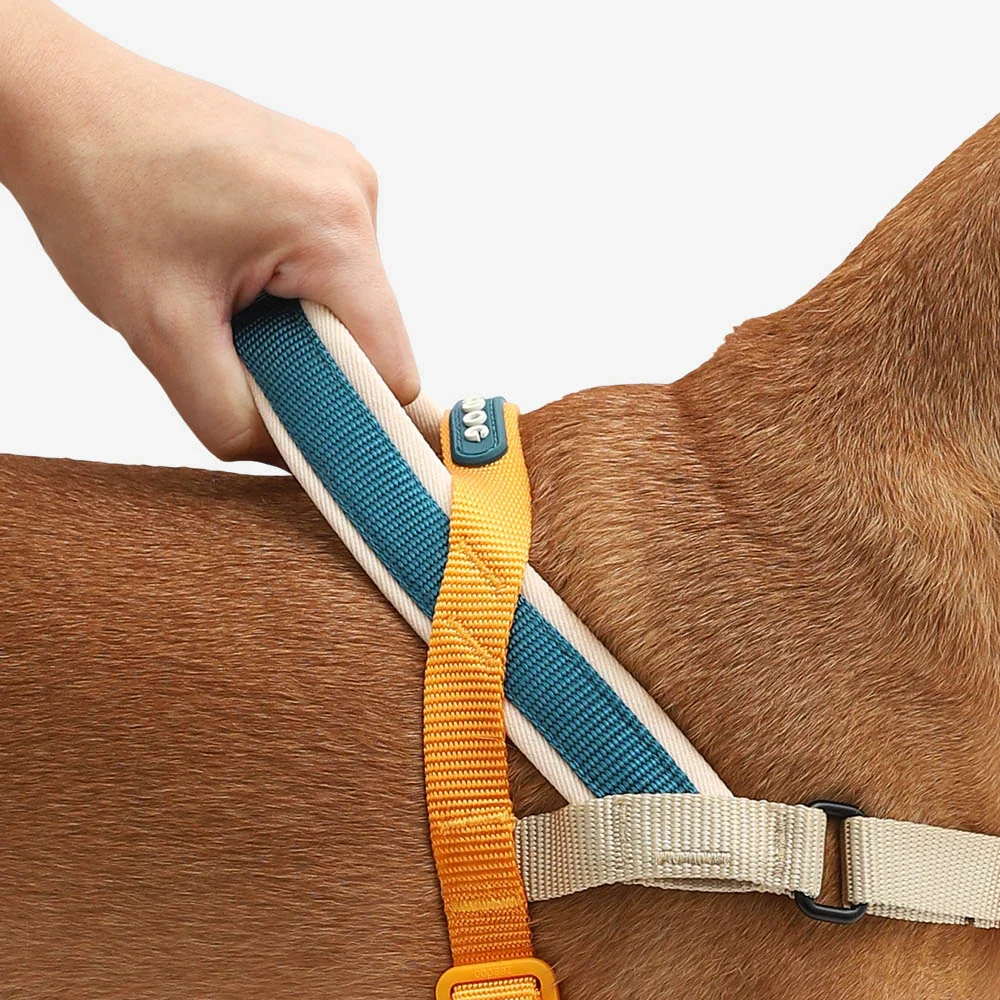 zeedog-soft-walk-harness-voyage_main-5.webp