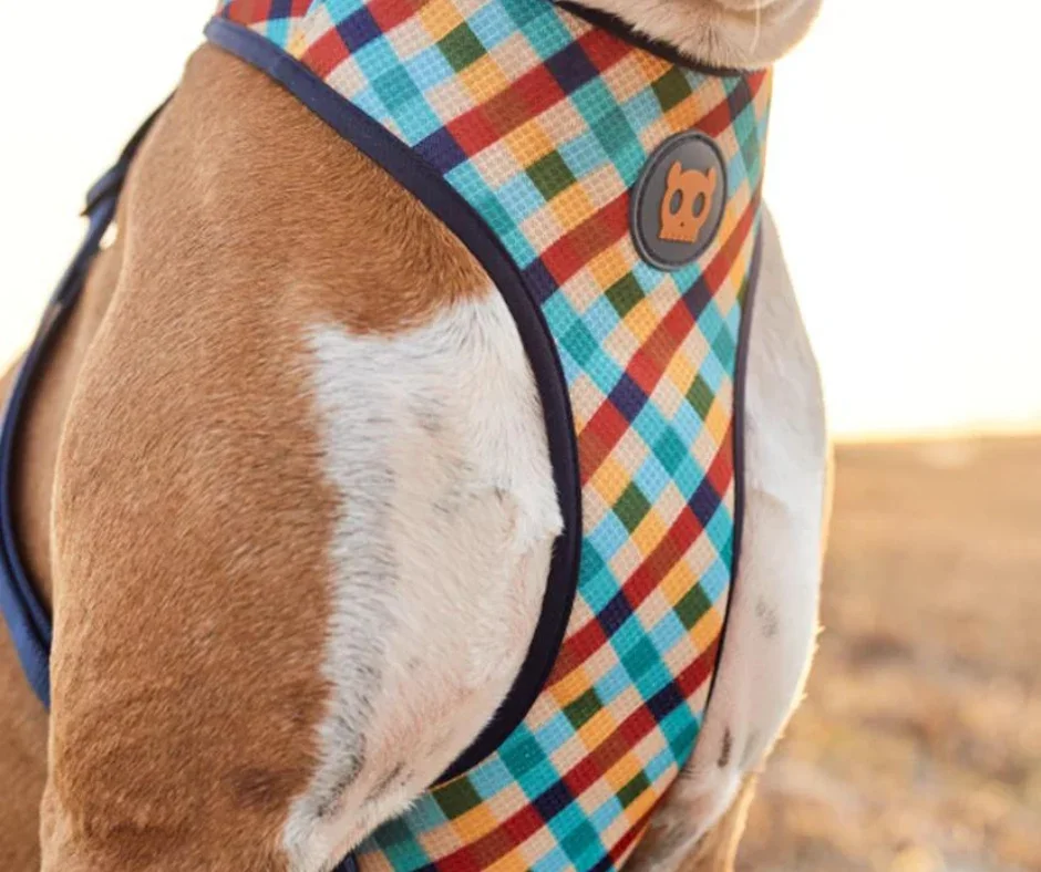 DogHarness-AdjustableAirMesh-Phantom_4_f545b91f-a2c6-4f4e-9348-9040234763e0.webp