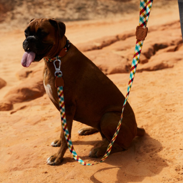 Zee.Dog-product-thumbnail-Phantom-leash-3-600x600.png.webp