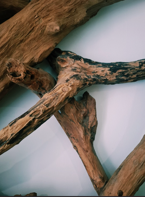 Branches ou morceaux de bois sec disposés de manière artistique contre un mur blanc.
