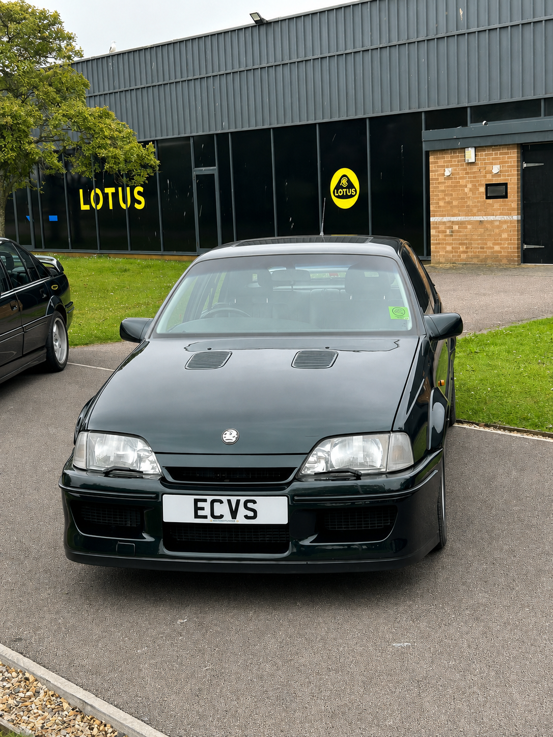 Black car parked in front of a black building with yellow 'LOTUS' signs, next to a green grassy area and a small tree.