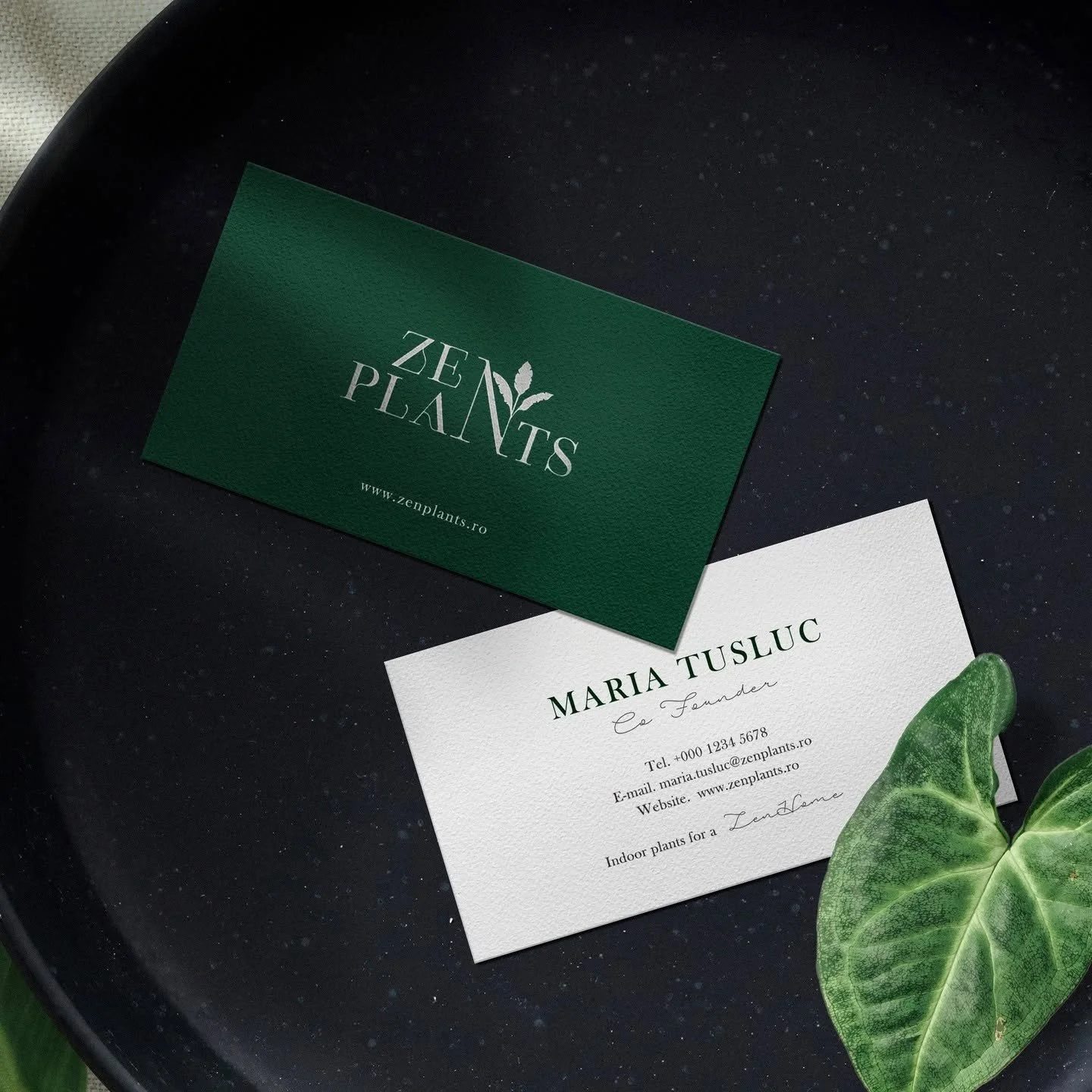 Business cards for Zen Plants, a green card with white text and a white card with green text, placed on a black surface with a green leafy plant in the corner.