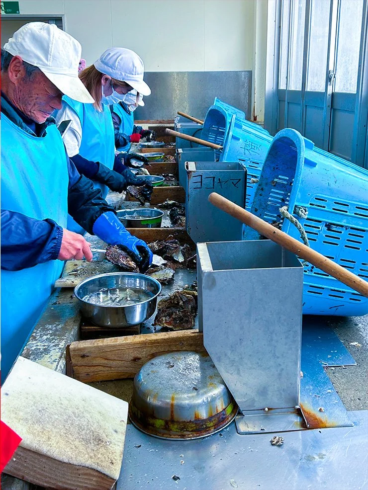 Oyster people.jpg