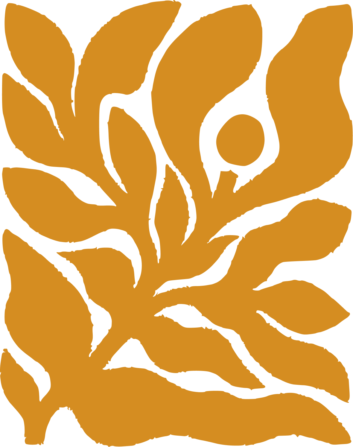 Seedlings Collective