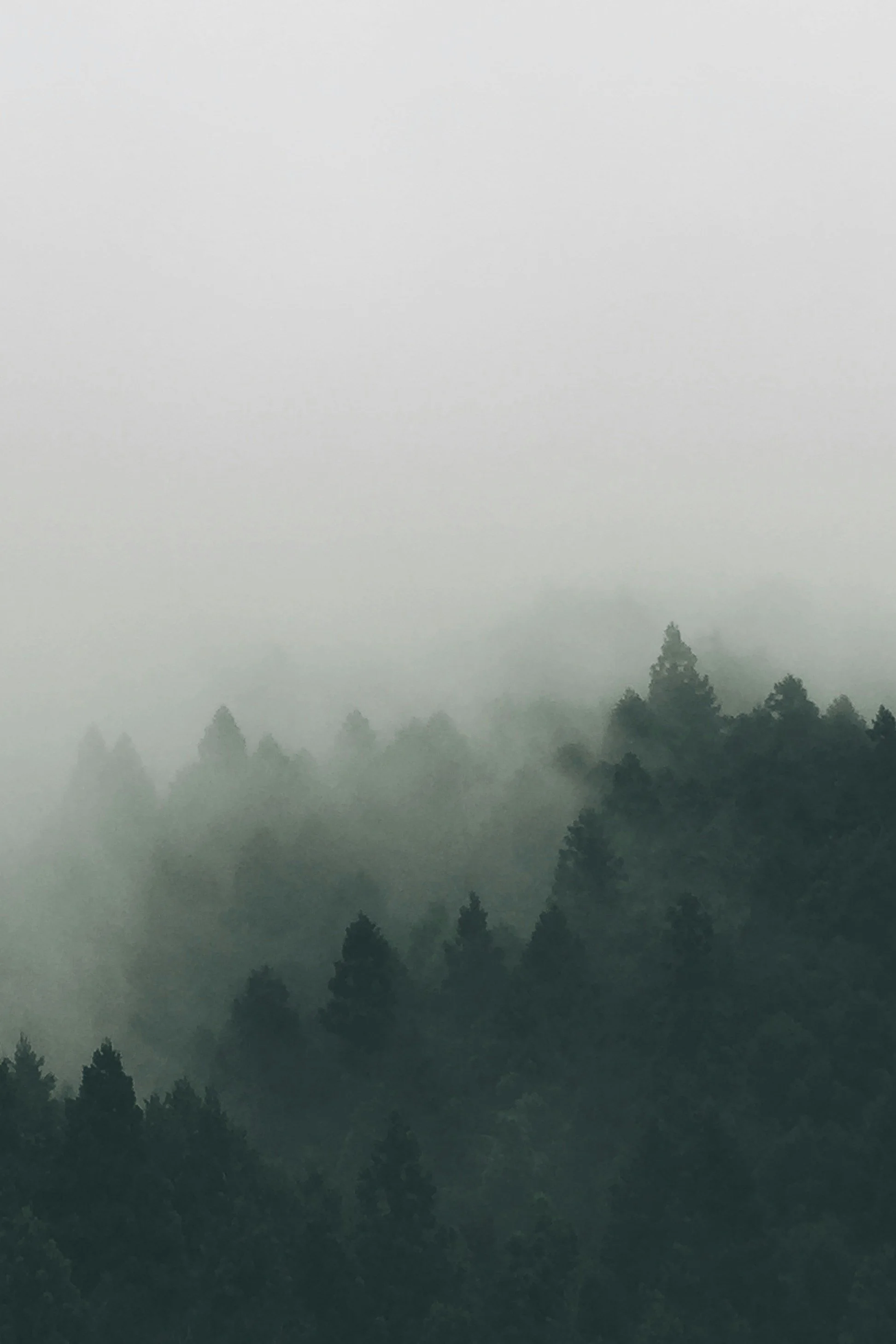 stratégie immobilière
