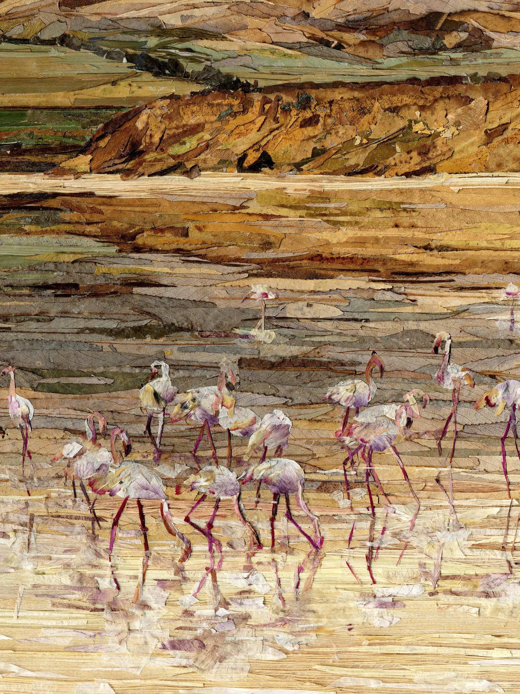 The-island-of-pink-flamingos-01.jpg