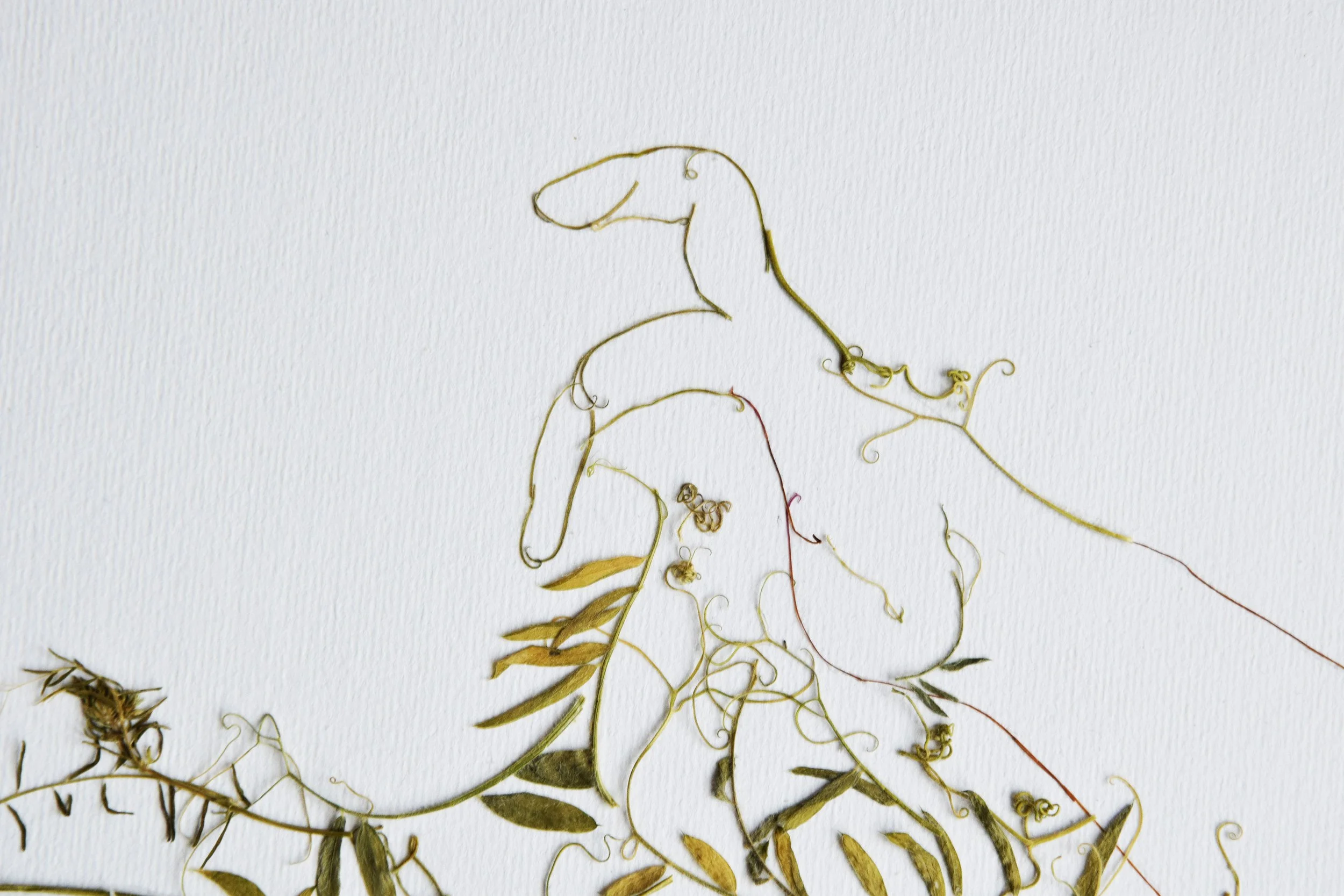 The-birth-of-Venus-pressed-flowers-art-04.jpg