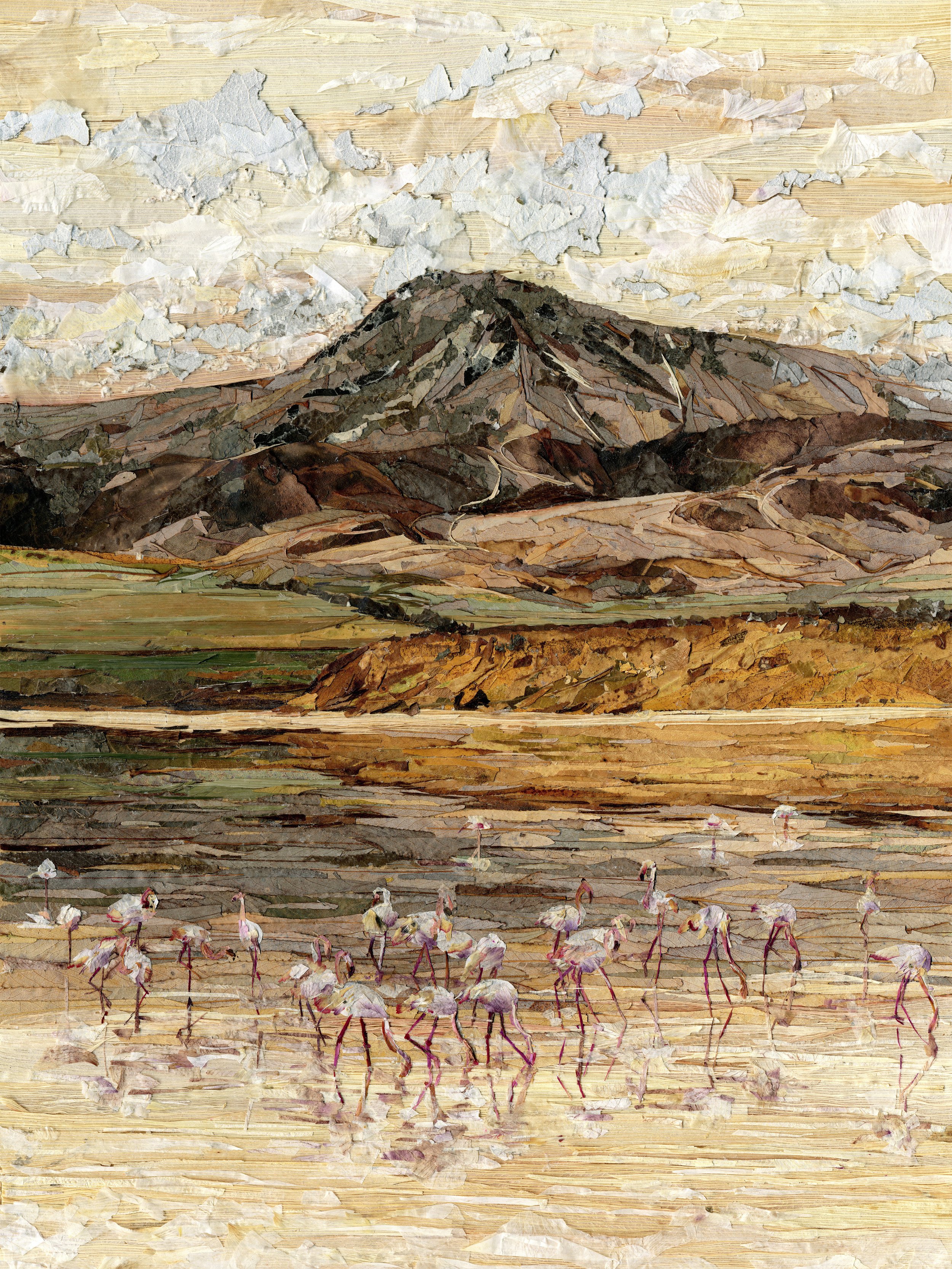 Island of pink flamingos