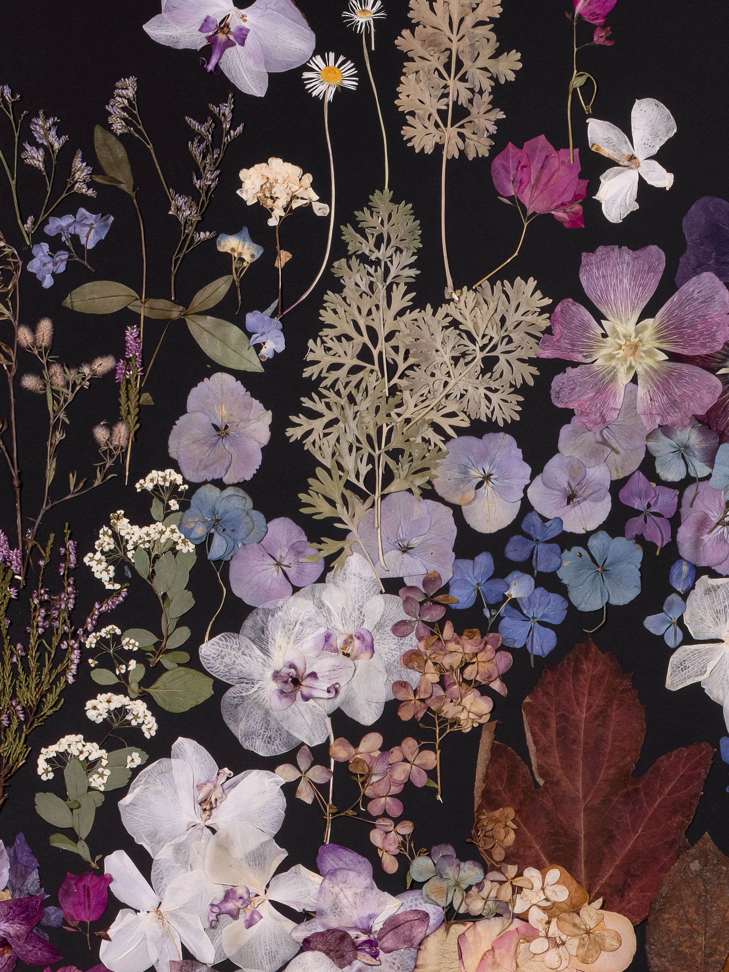 Blooming-in-the-night-floral-art-04.jpg