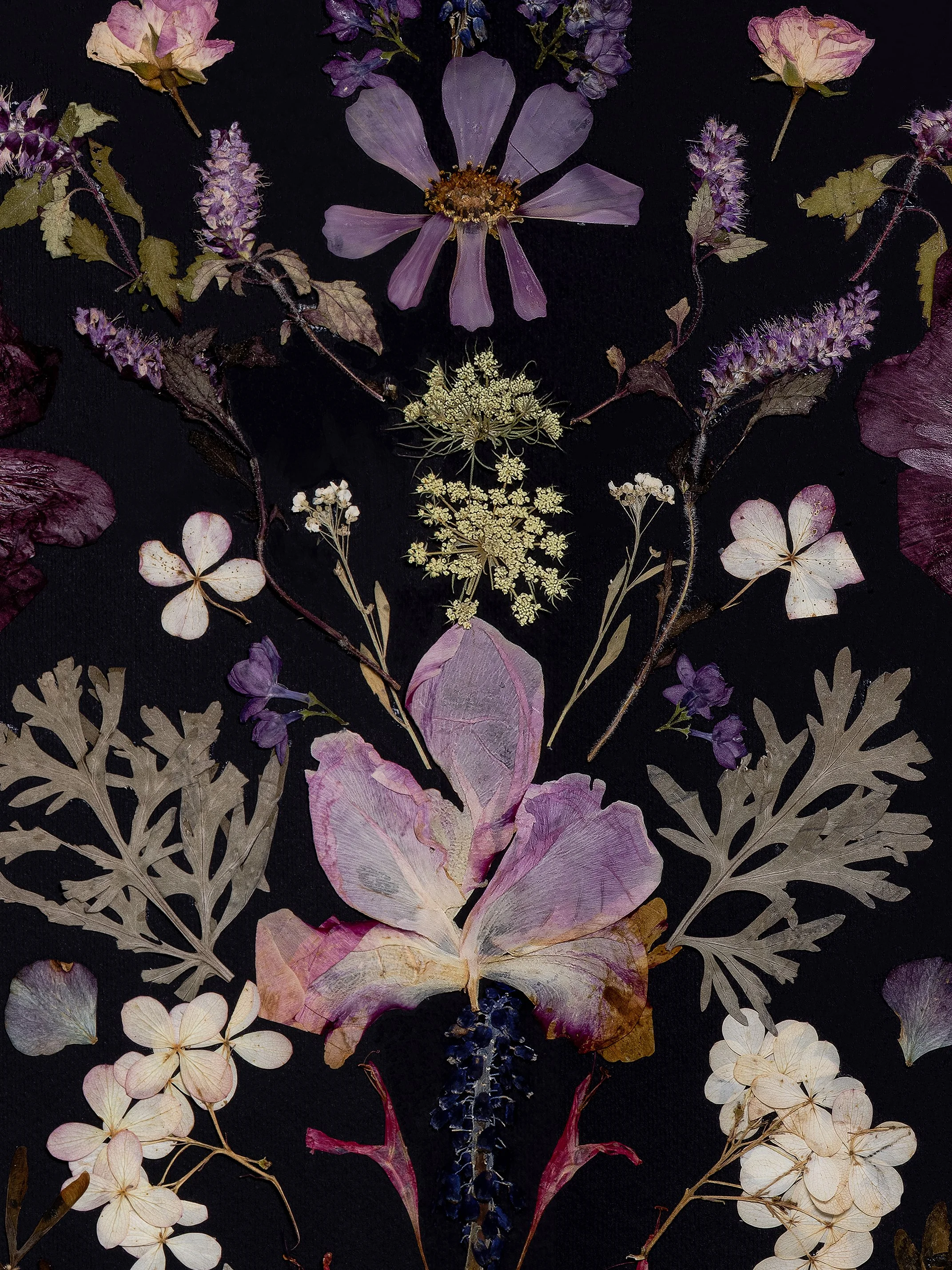 Floral-symmetry-pressed-flower-art-01.jpg