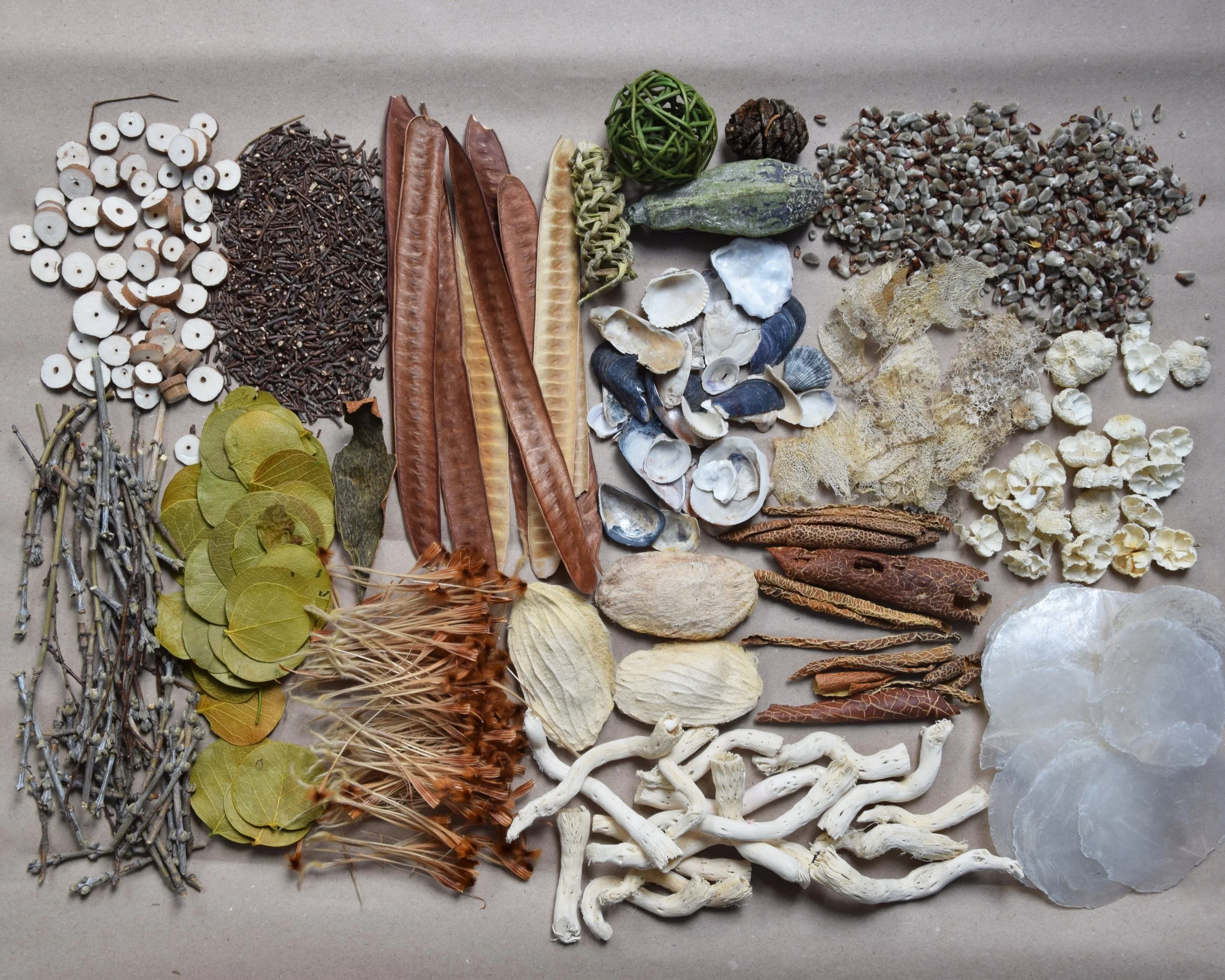 A collection of various natural items including brown and black seeds, dried leaves, woven balls, rocks, shells, and dried plant materials