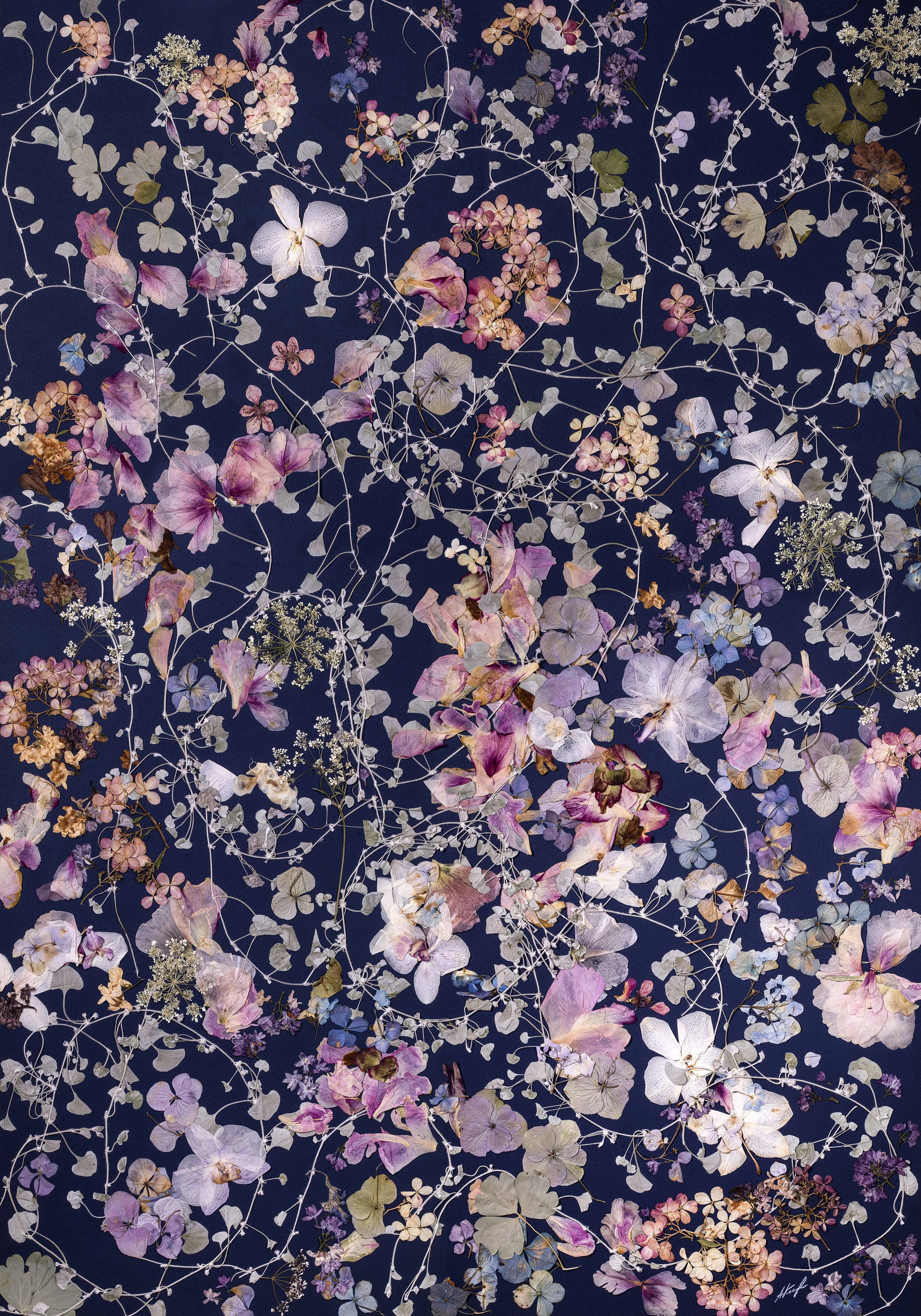 Floral lace