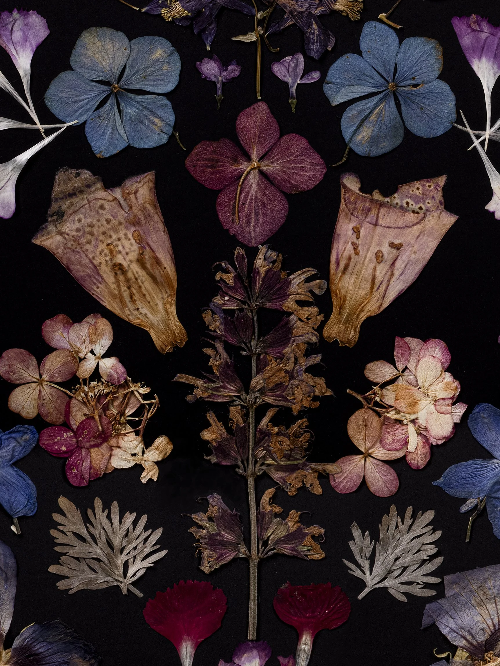 Floral-symmetry-pressed-flower-art-02.jpg
