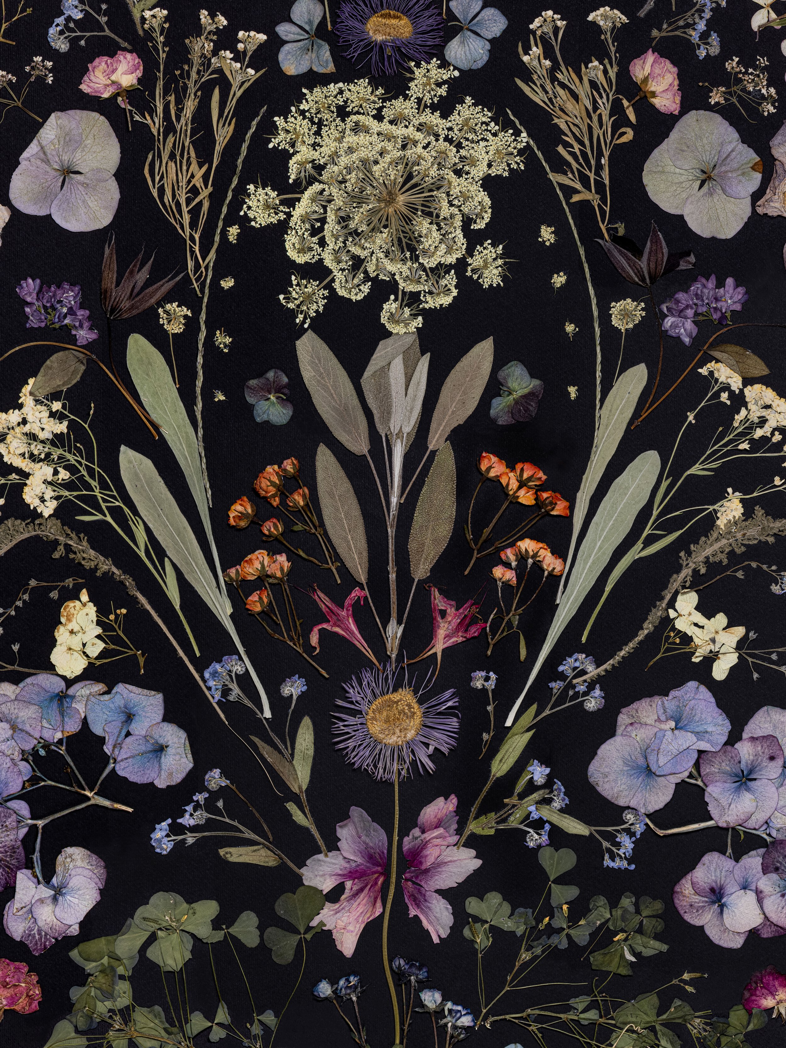 Floral-symmetry-pressed-flower-art-04.jpg