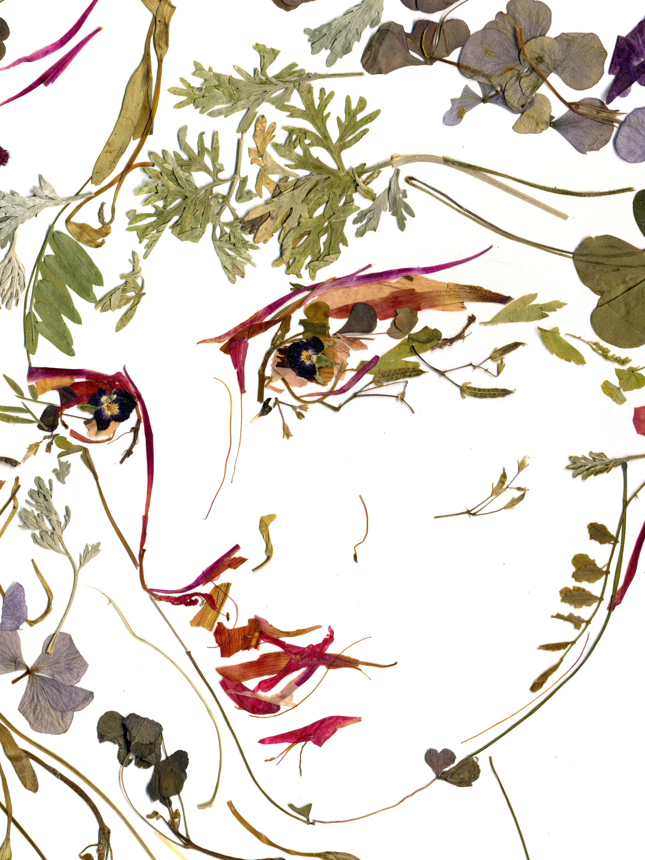 Proserpine-pressed-flower-collage-01.jpg