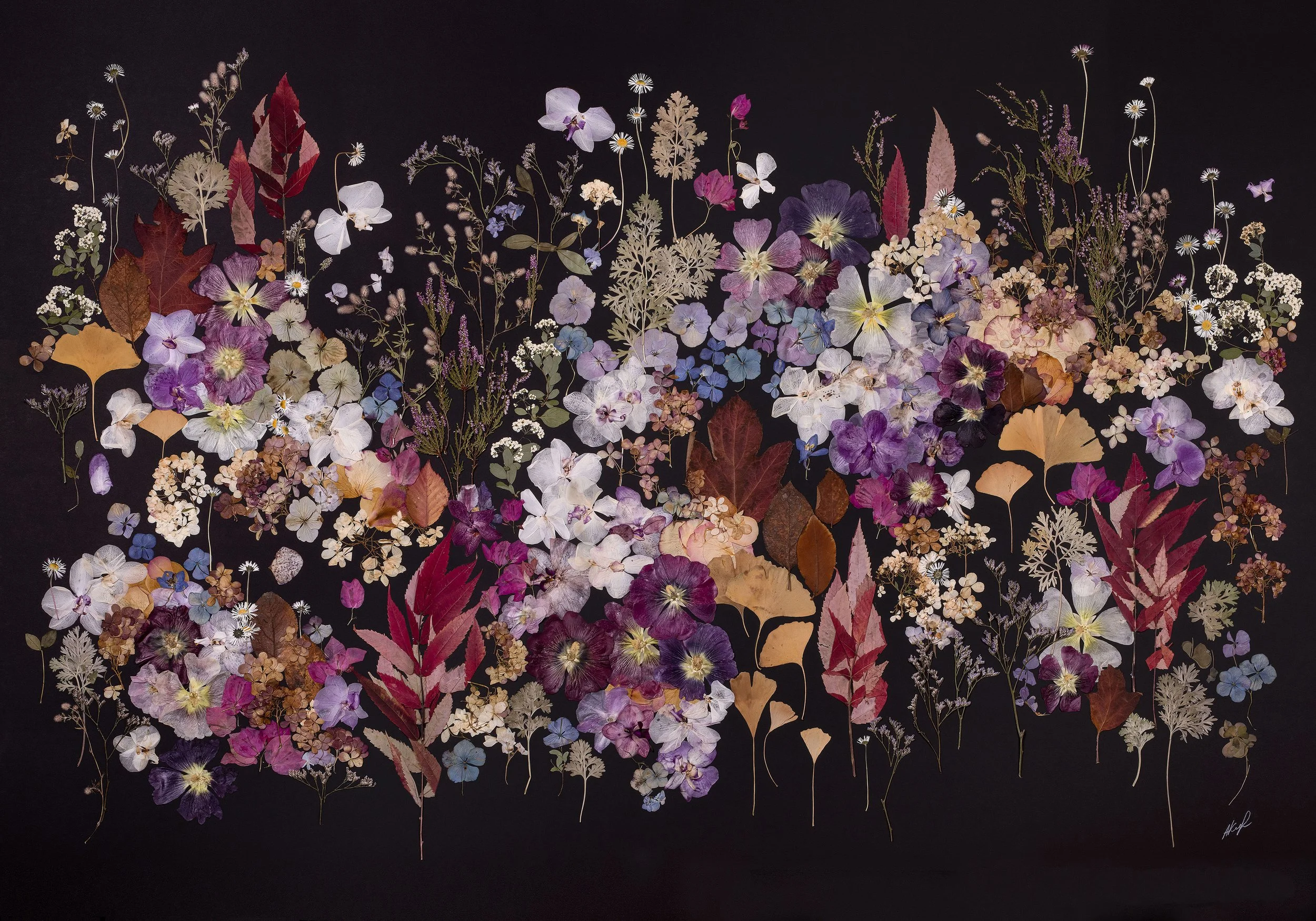 Blooming in the night
