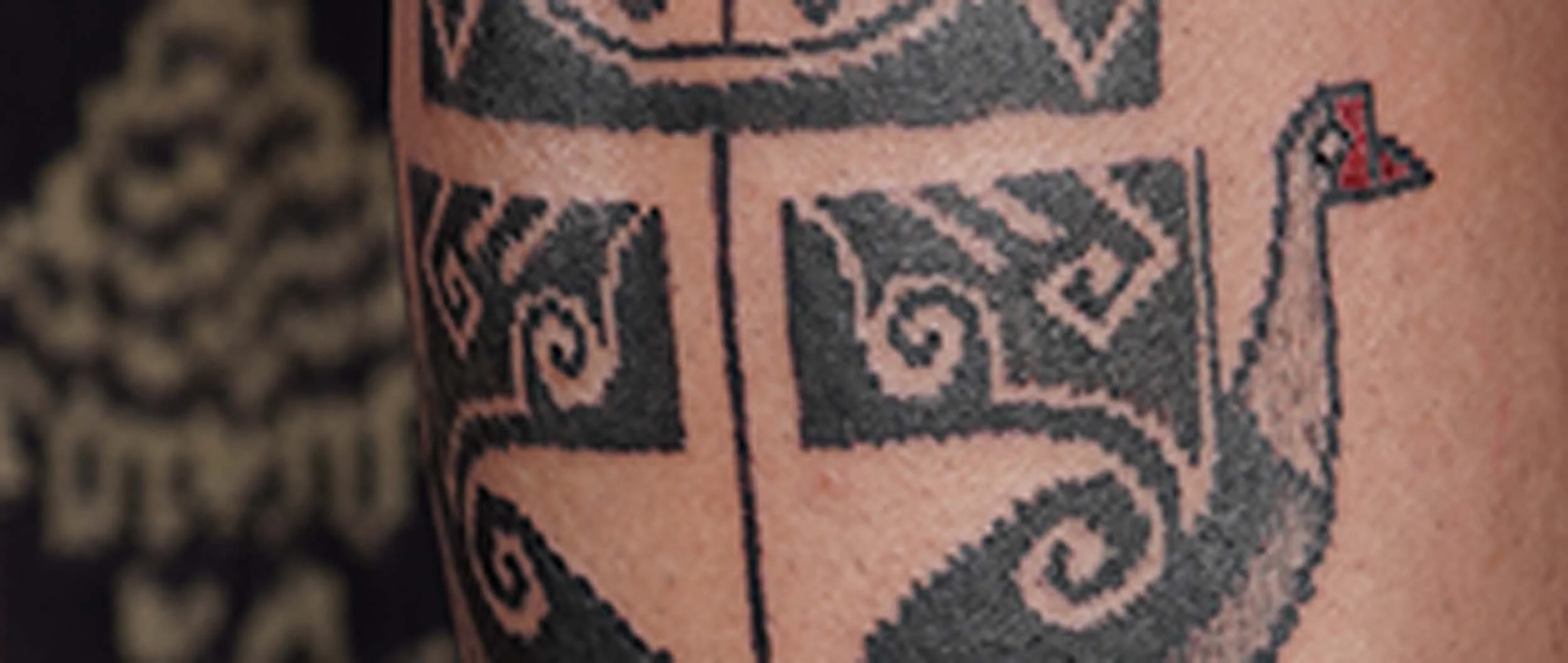 black swan tattoo in ornamental style with tenun pattern in bali Indonesia
