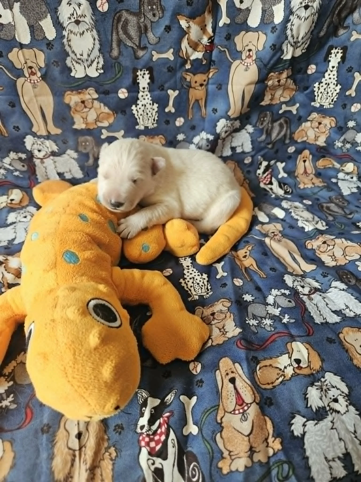 “Okay… maybe I’ll stay right here.”