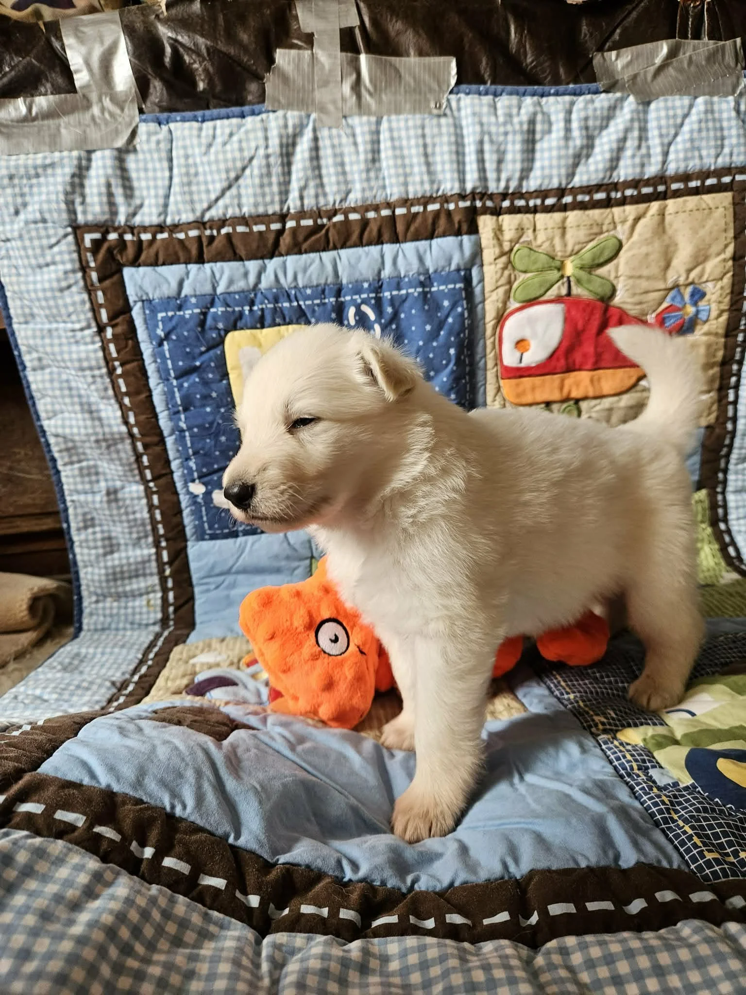 “Look at me—I’ve got legs!”