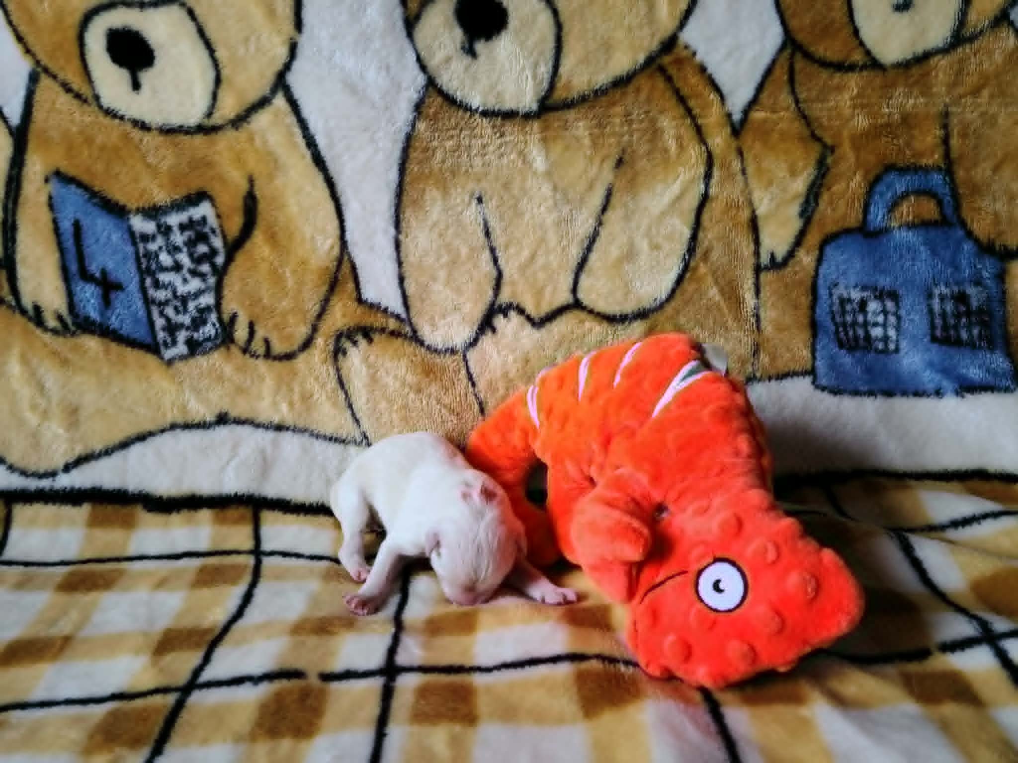 Off to Explore!