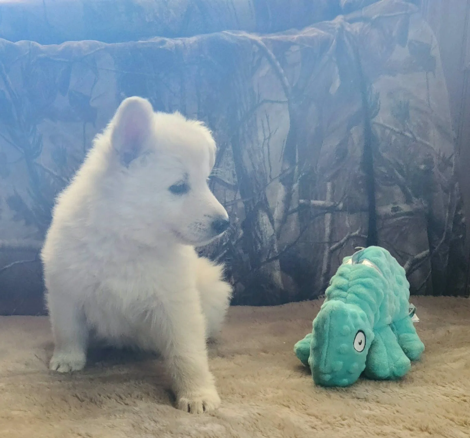 "So... are we going to be best friends, or are you just here for the pictures?" 💙
