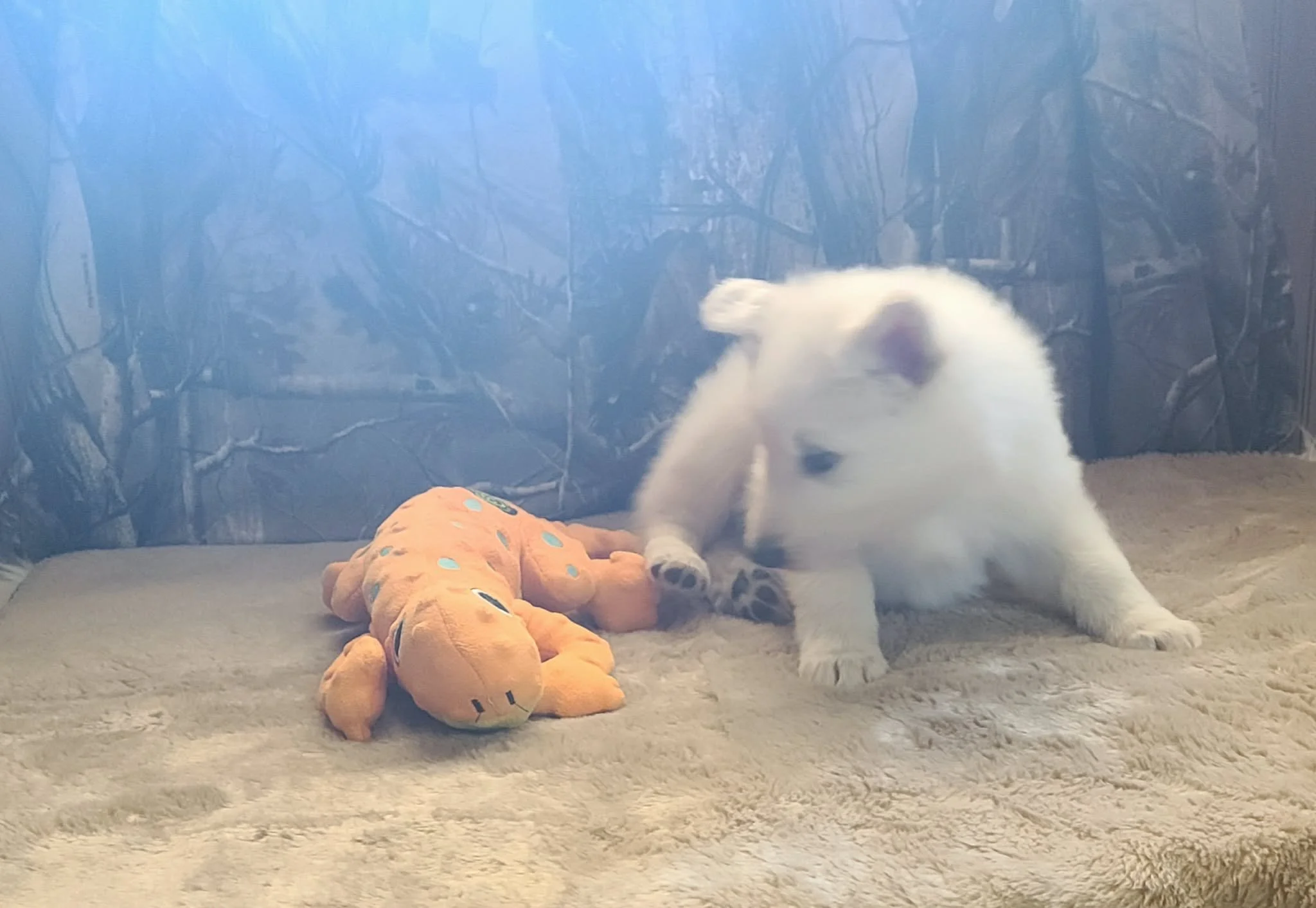 “Just taking a little break with my lizard buddy. Even busy puppies need a rest!”