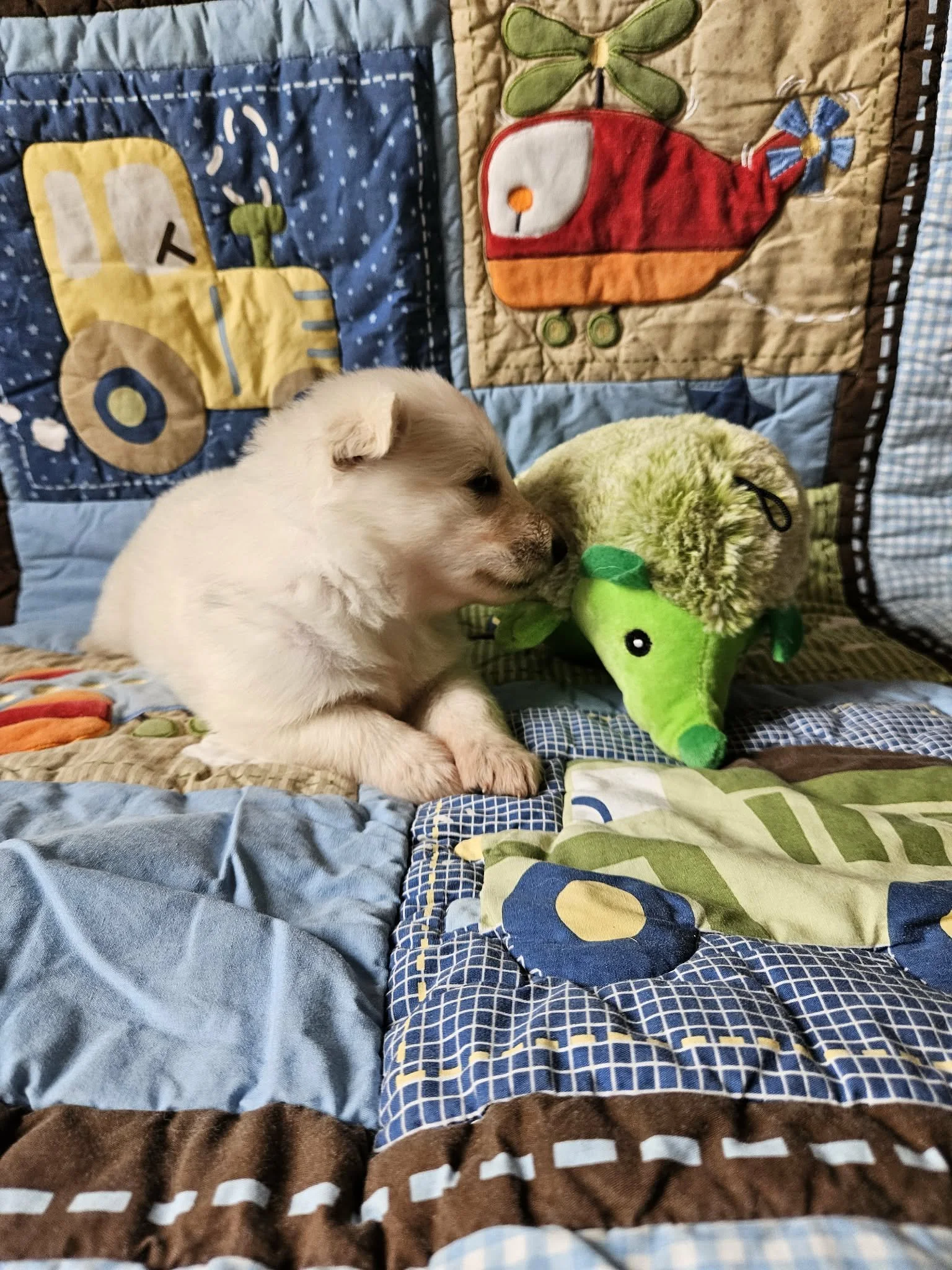“Just checking in with my hedgehog.”