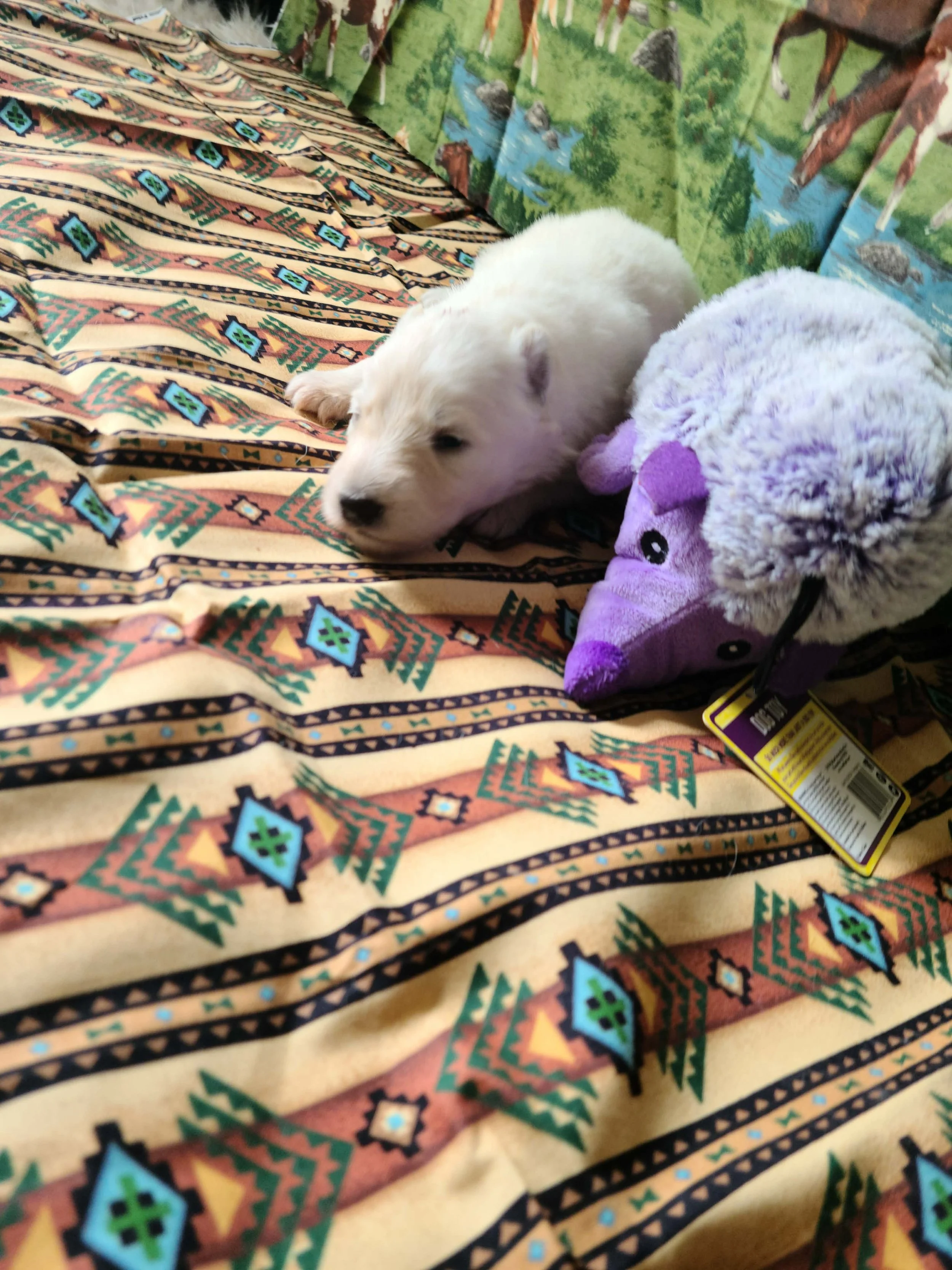 Okay… maybe I’ll just stay right here.