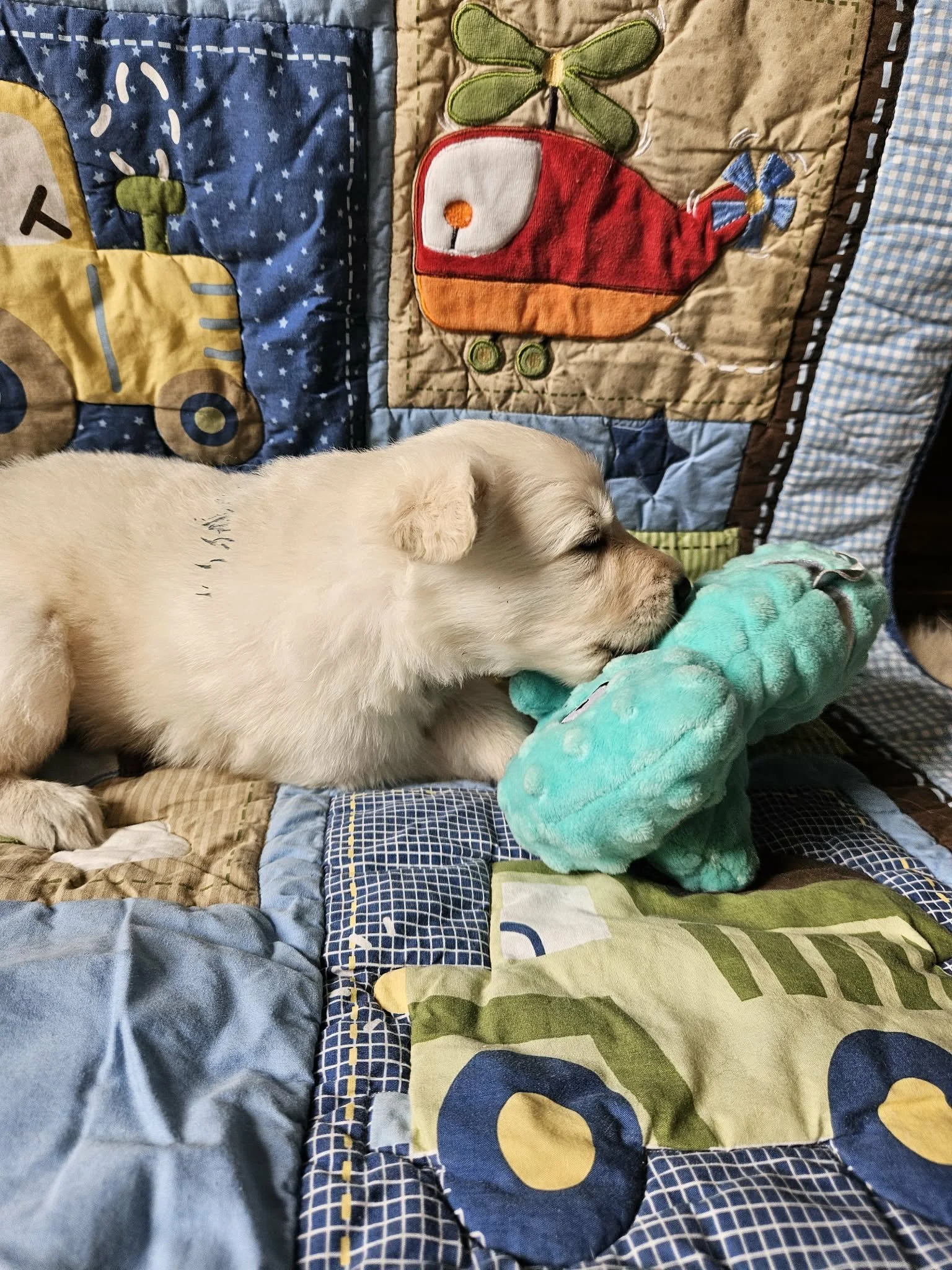 “Yep. Definitely chewable.”