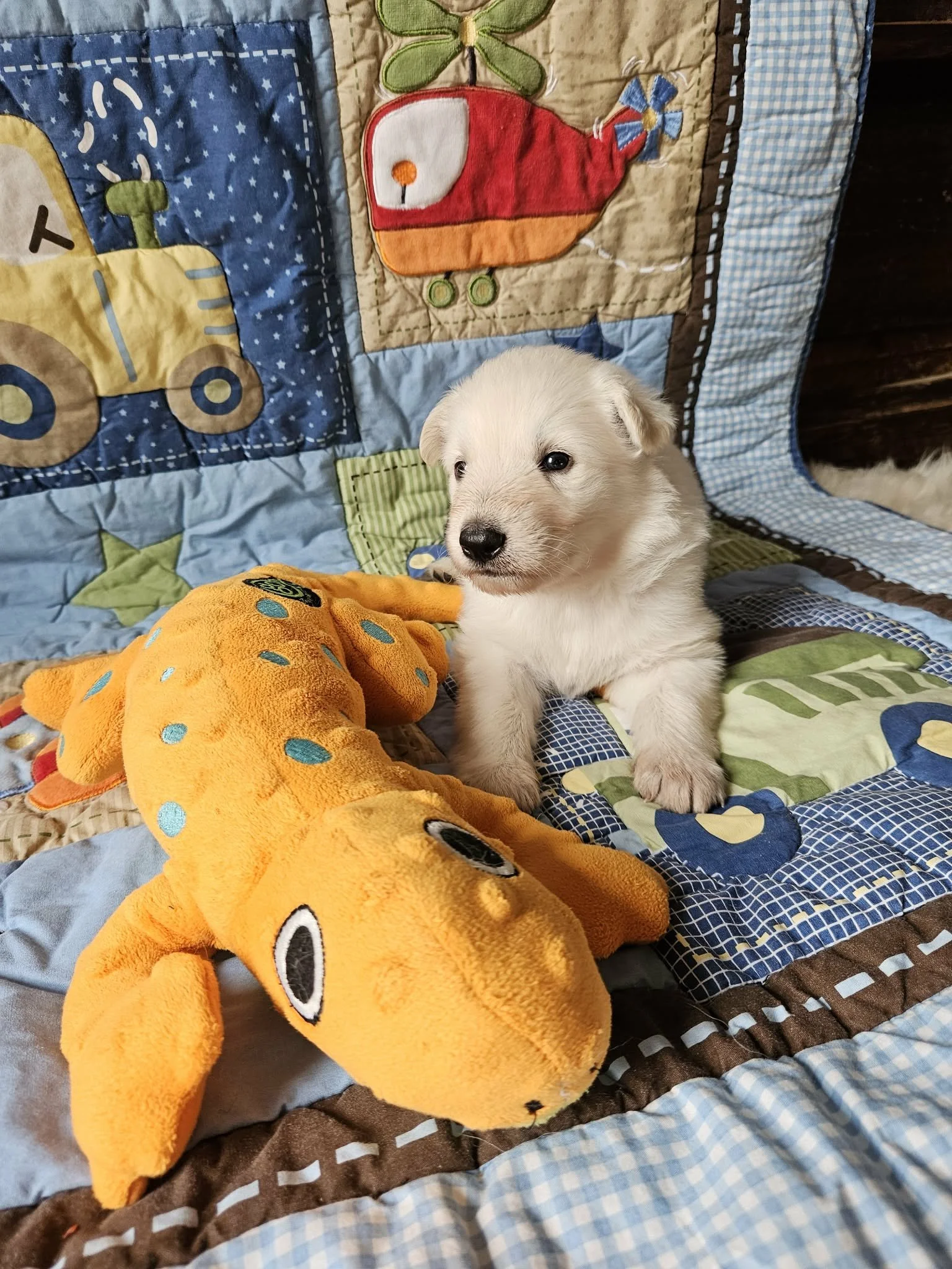 “Look at me sitting up!”
