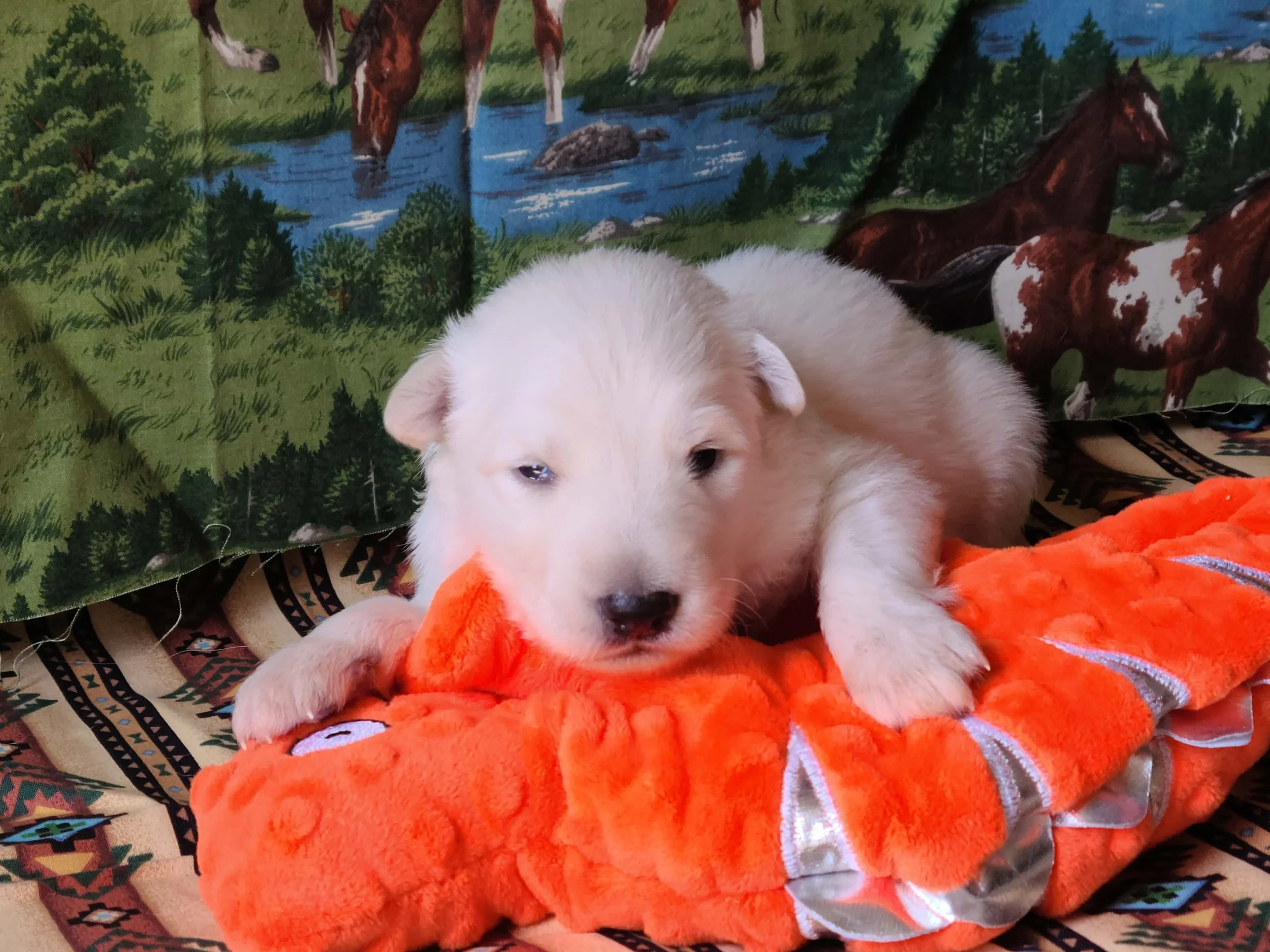“Look! My eyes are open!”