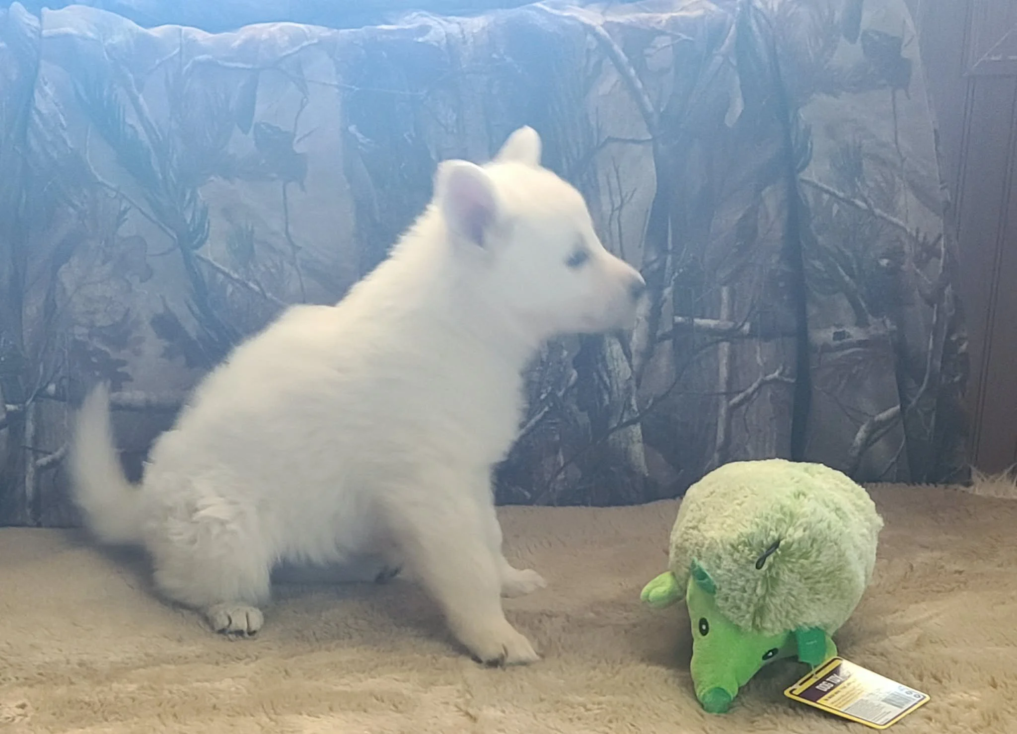 "I've got places to go, things to see, and absolutely no time to sit still!"