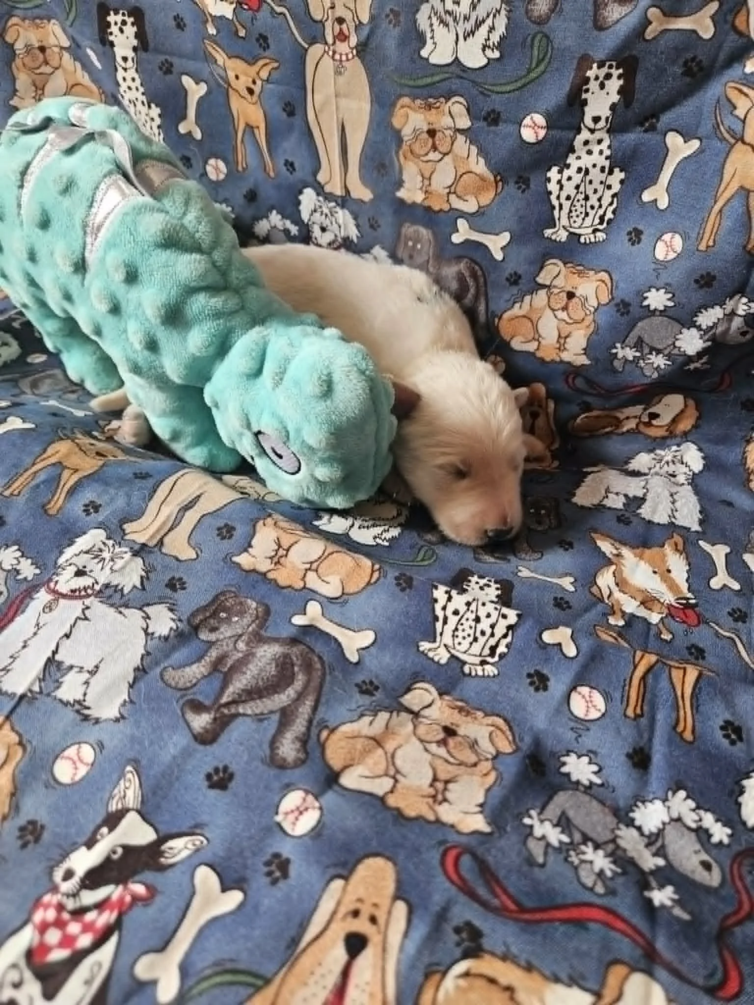 Okay, adventuring is exhausting.