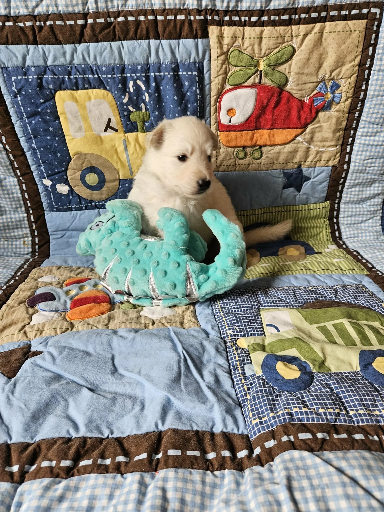 “Look at me sitting up!”