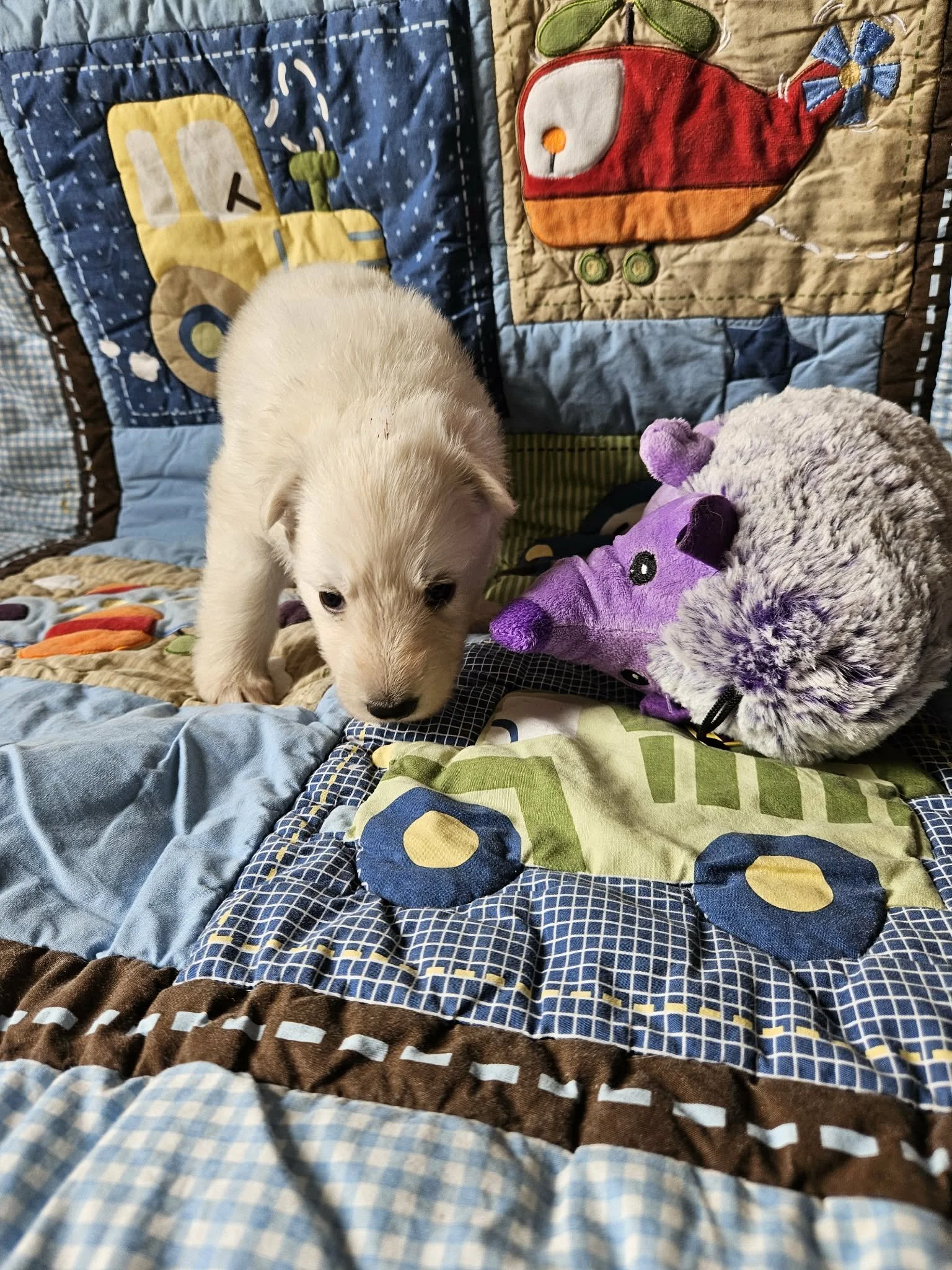“Okay, I’m off to explore!”
