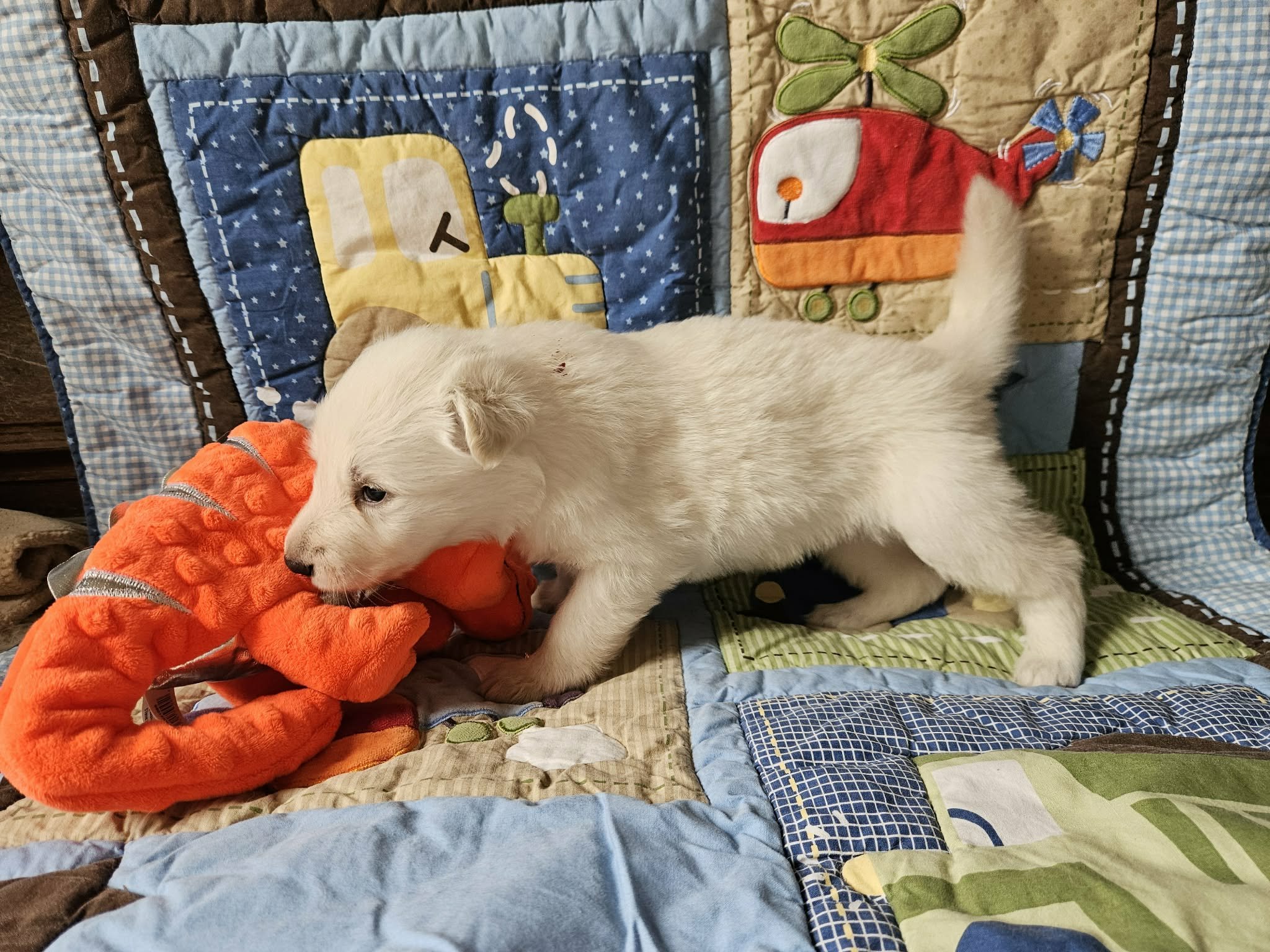 “Okay, now what does this thing taste like?”