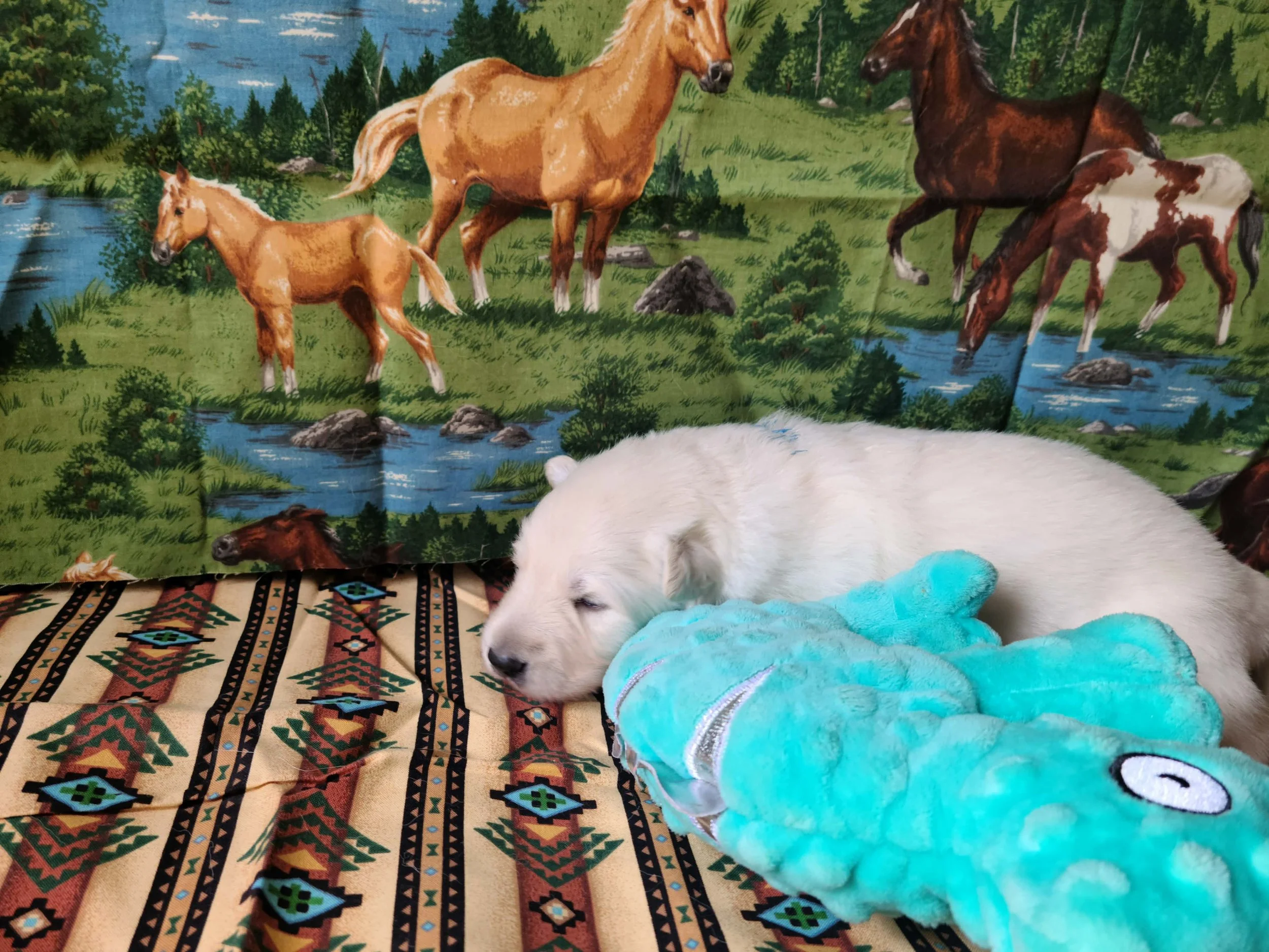 Okay… it still makes a pretty good pillow.
