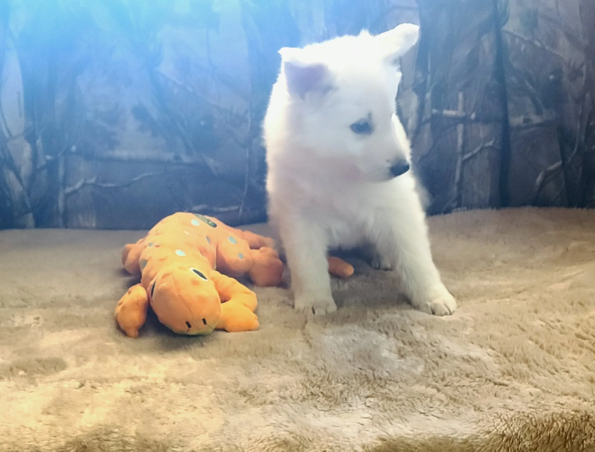 “Did somebody say adventure? Because I think I heard adventure!”