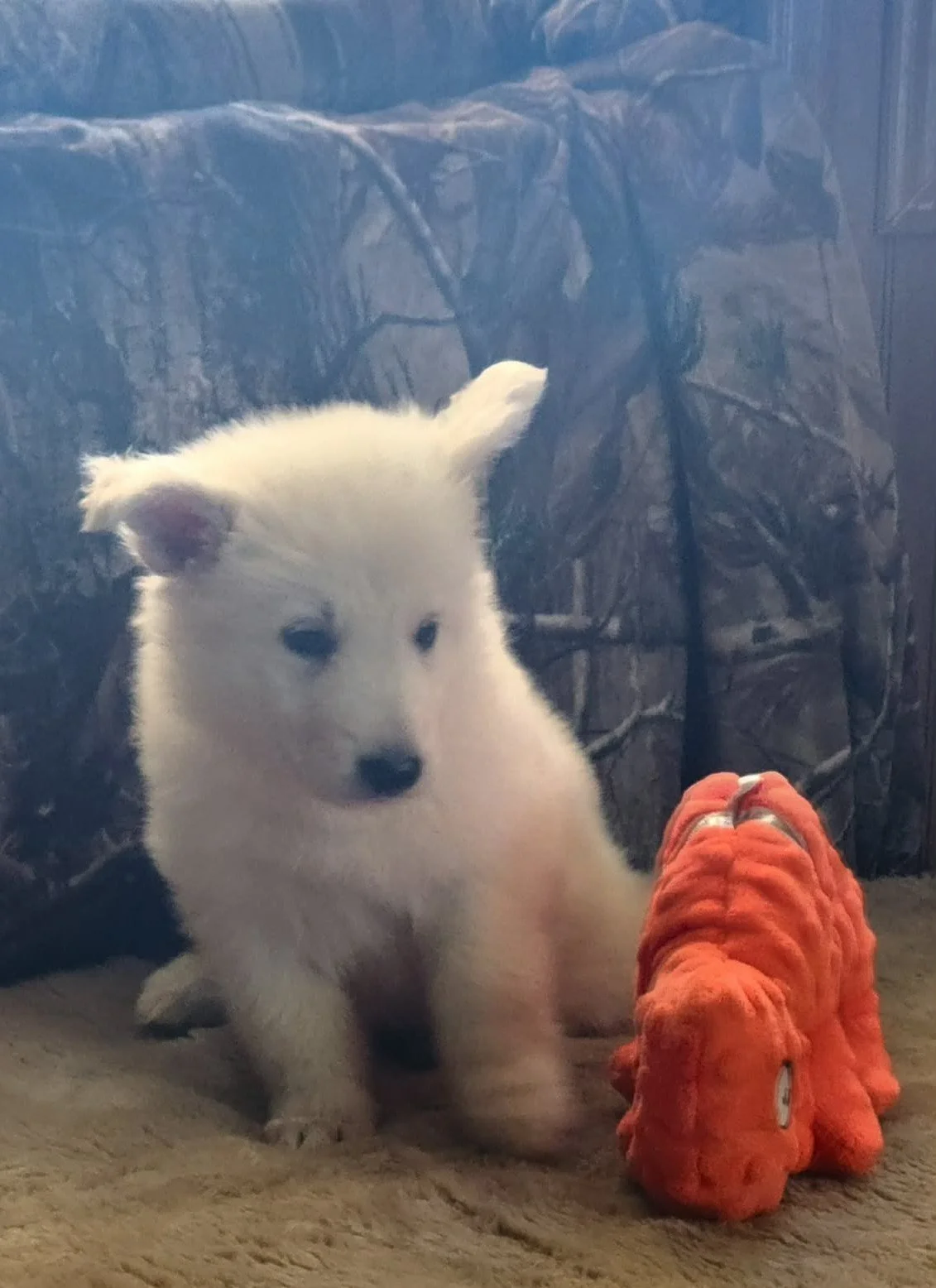 "I'm keeping an eye on this little red fellow!"