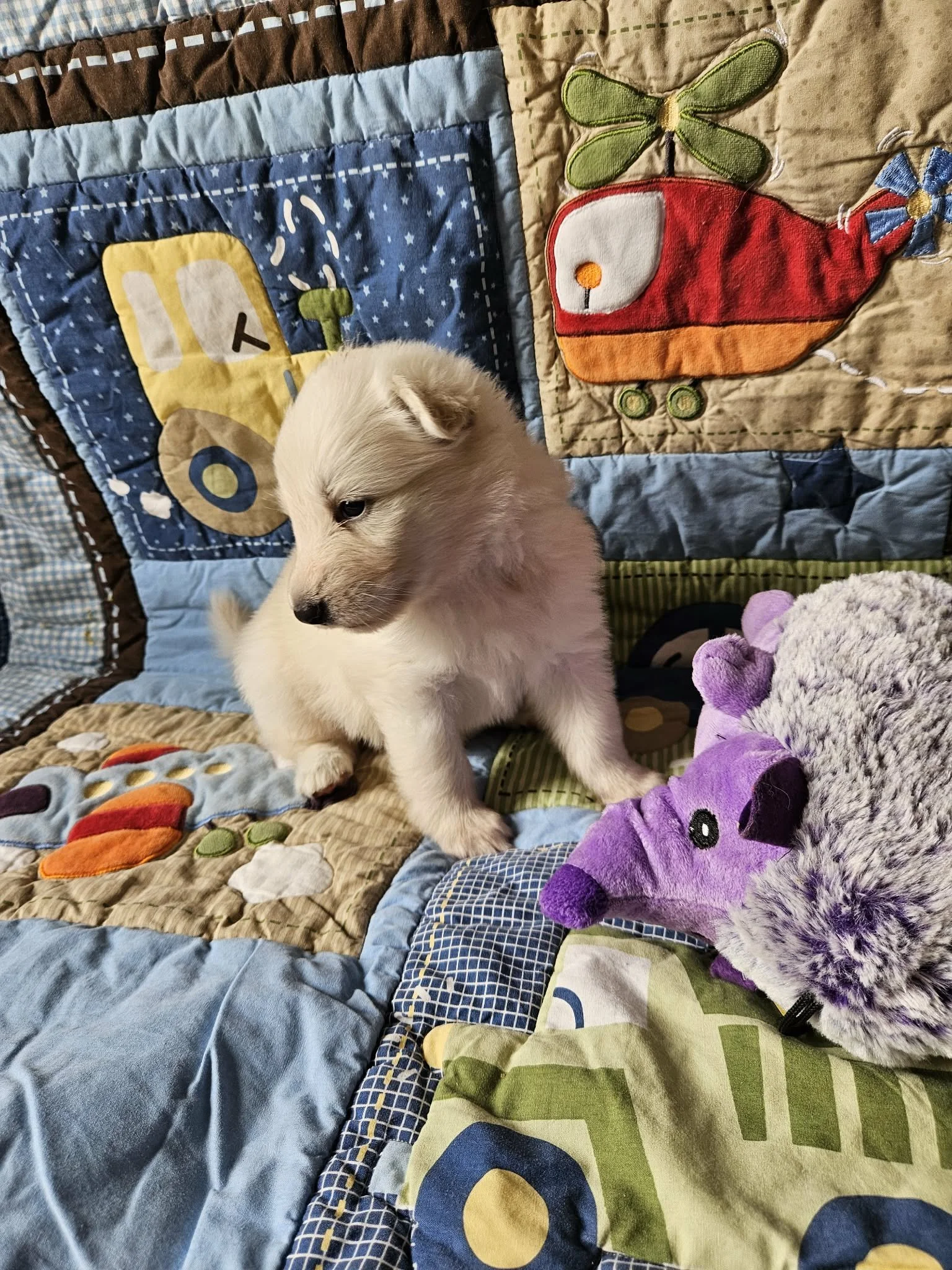 “Hmm… where should I go first?”