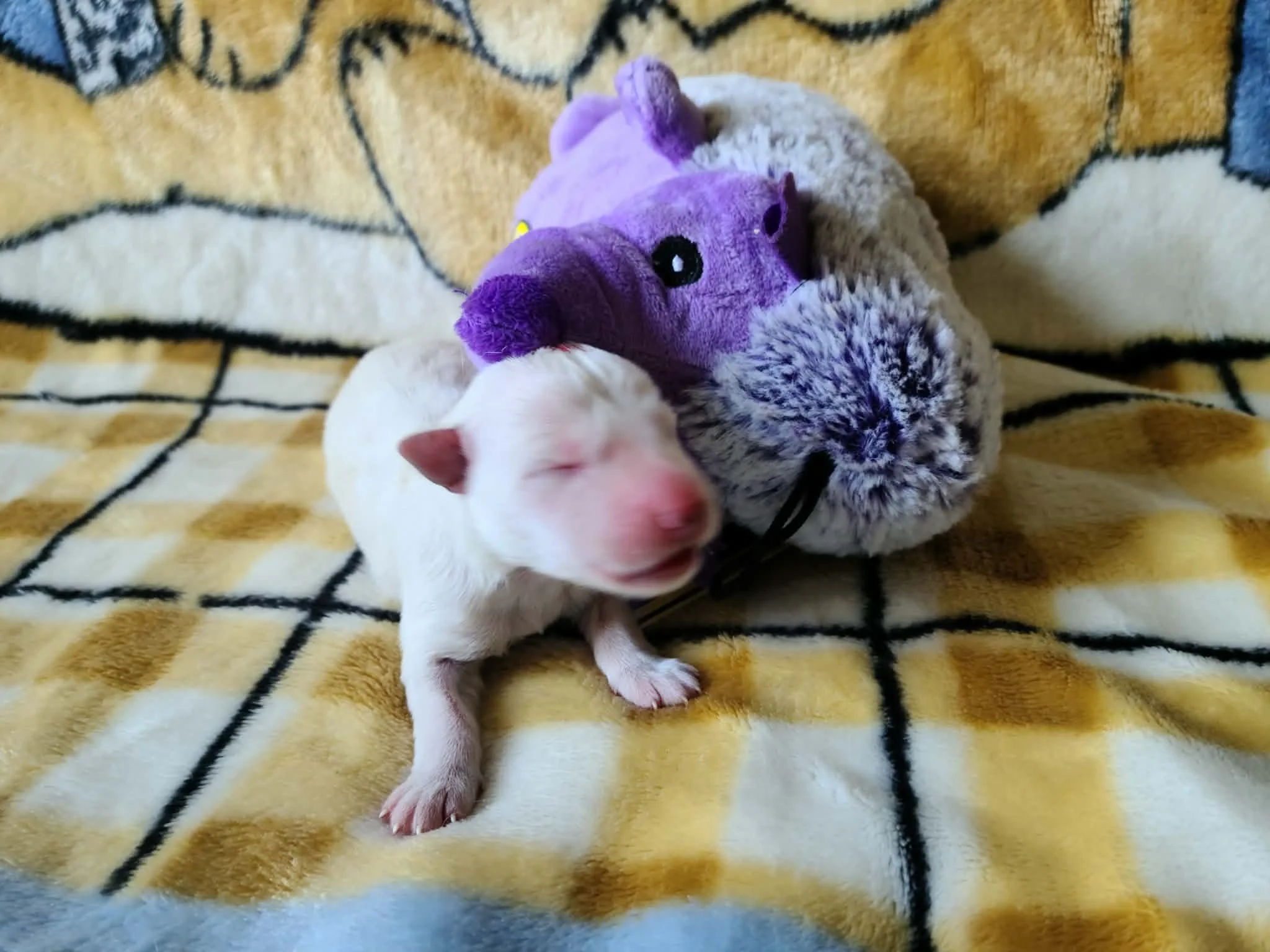 Okay, I’ve got places to be!
