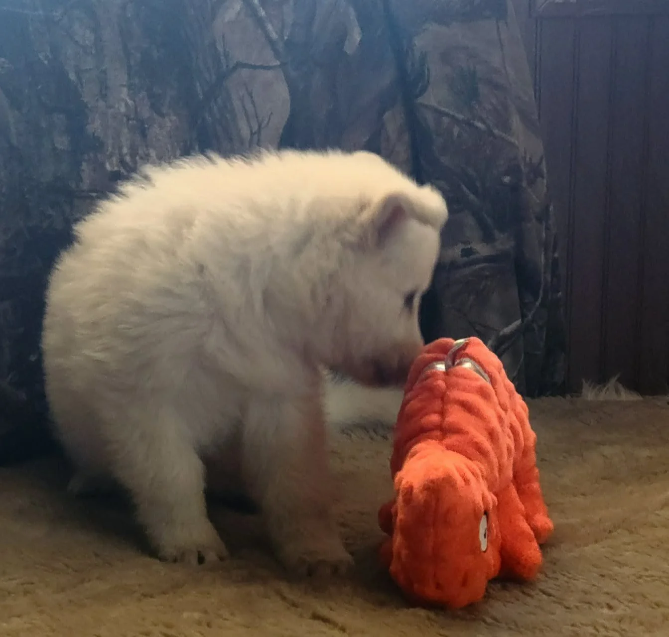 "Just one more sniff. Gotta make sure he's friendly!"