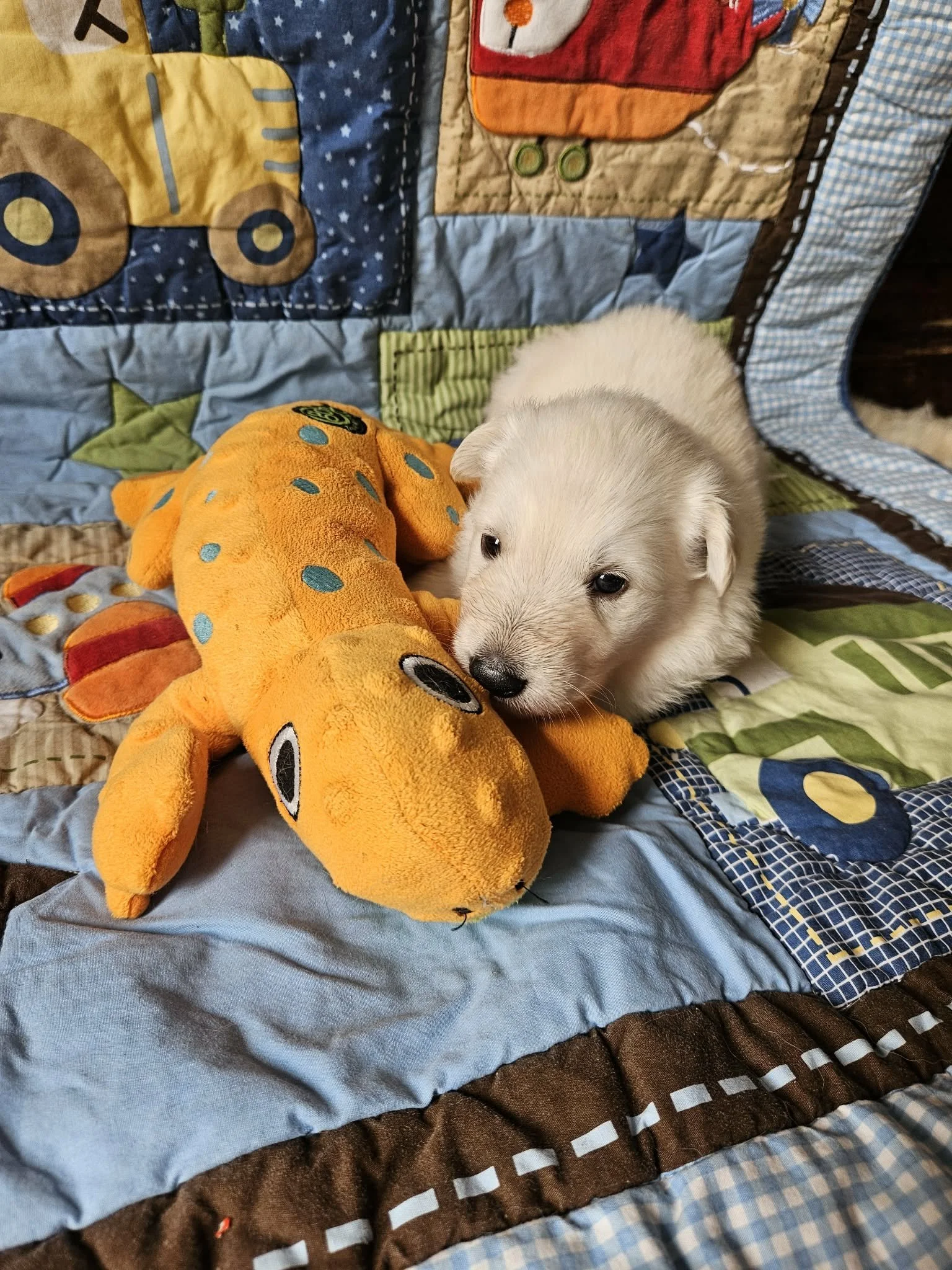 “Okay, maybe I still need my buddy.”