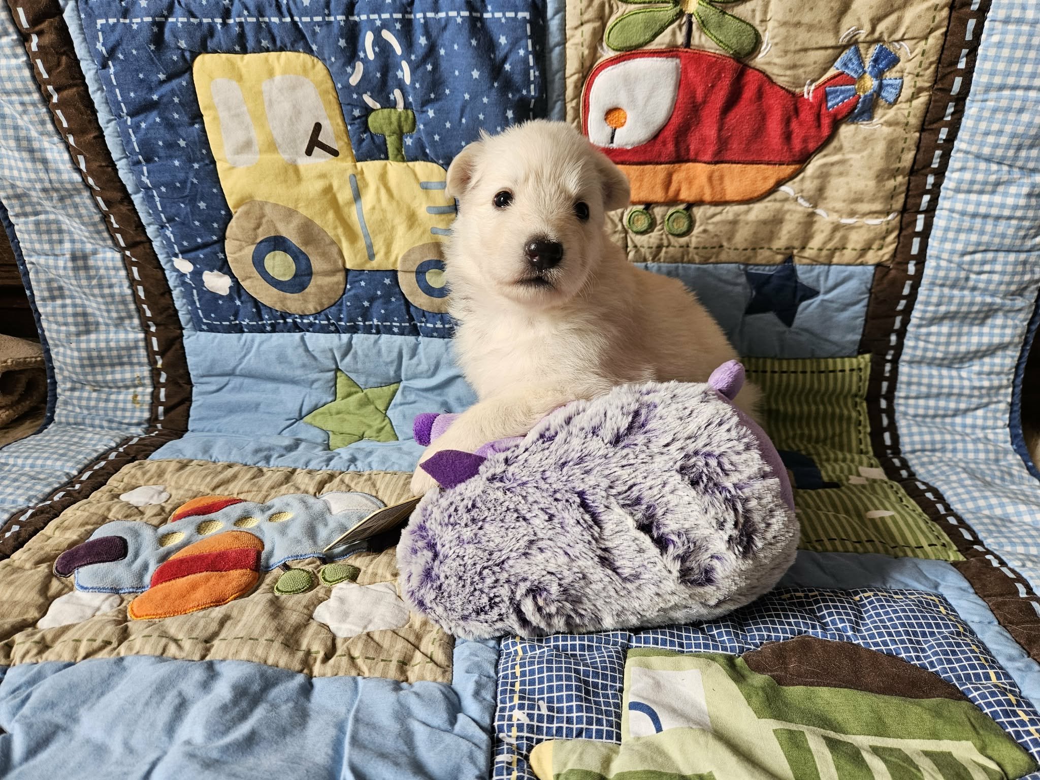 “Wait… are you taking my picture?”