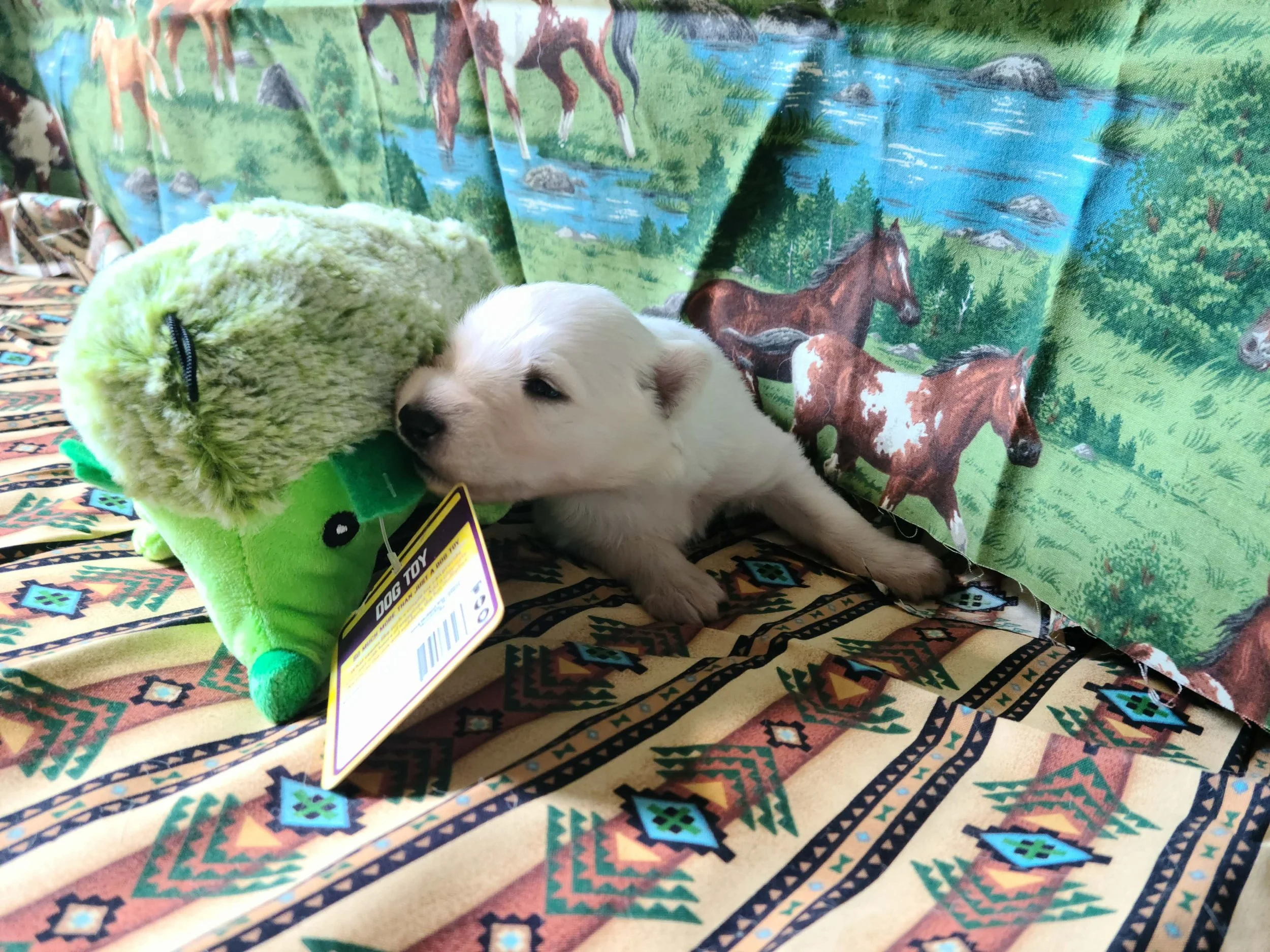 “Just checking in with my hedgehog.”
