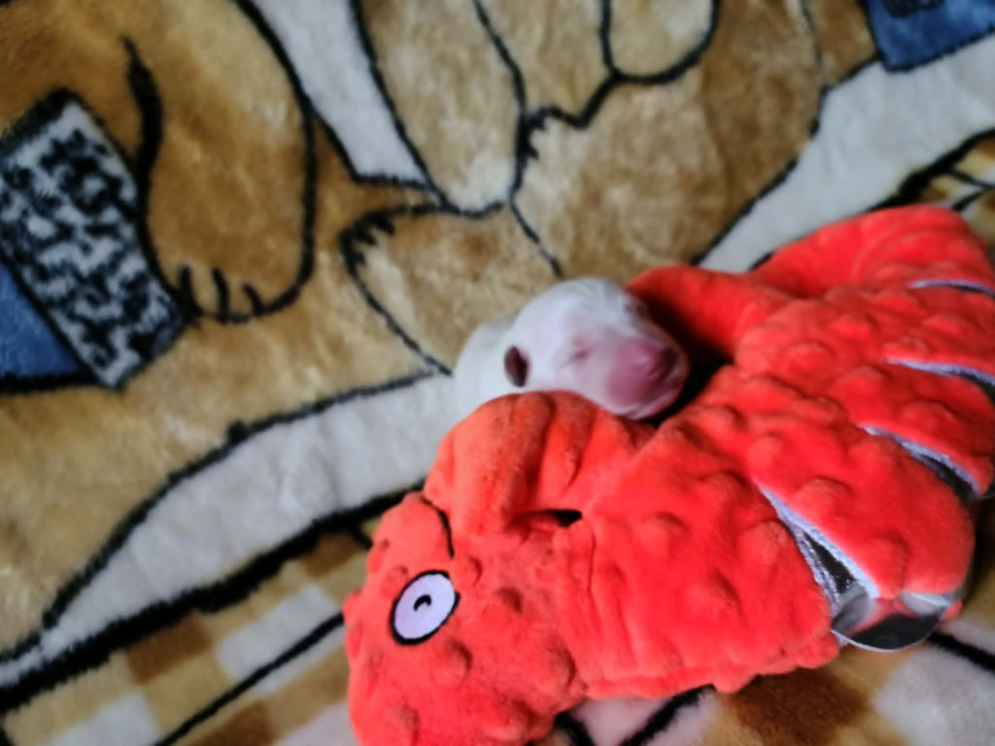 Exploring Is Exhausting