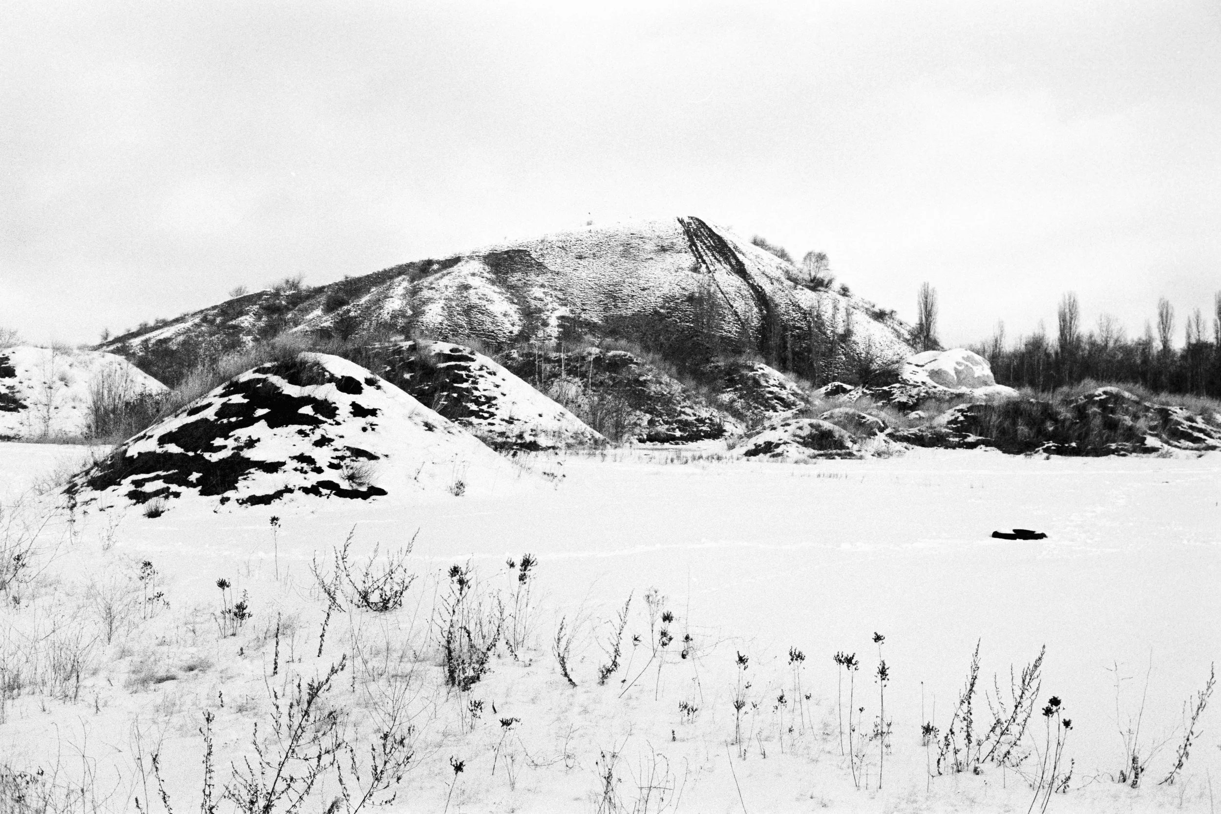 Snow-covered landscape with several hills, sparse trees, and bushes, under an overcast sky.