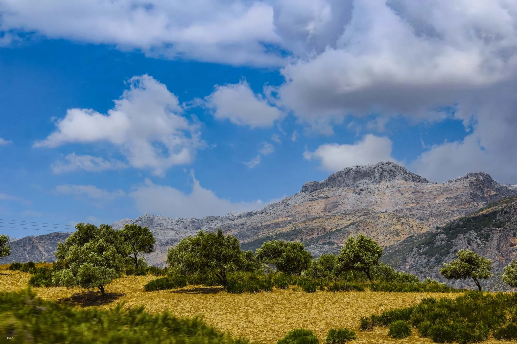 Paysage