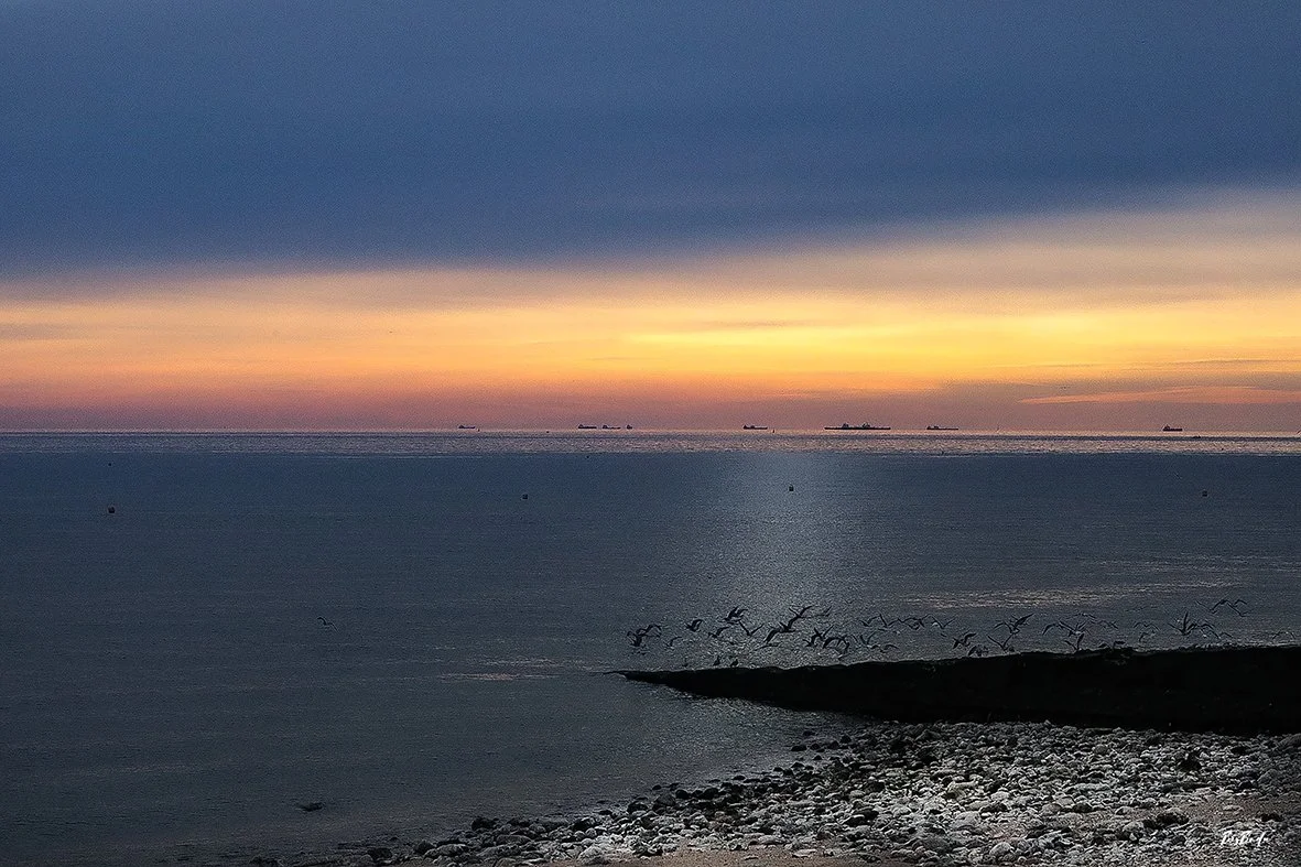 la-manche-coucher-soleil-dore-mouettes-fine-art-bybadr.jpg
