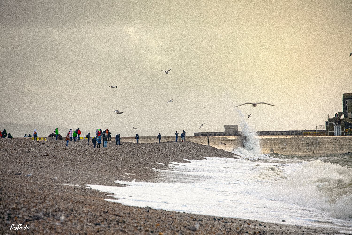 vagues mouettes plage galets bybadr.jpg